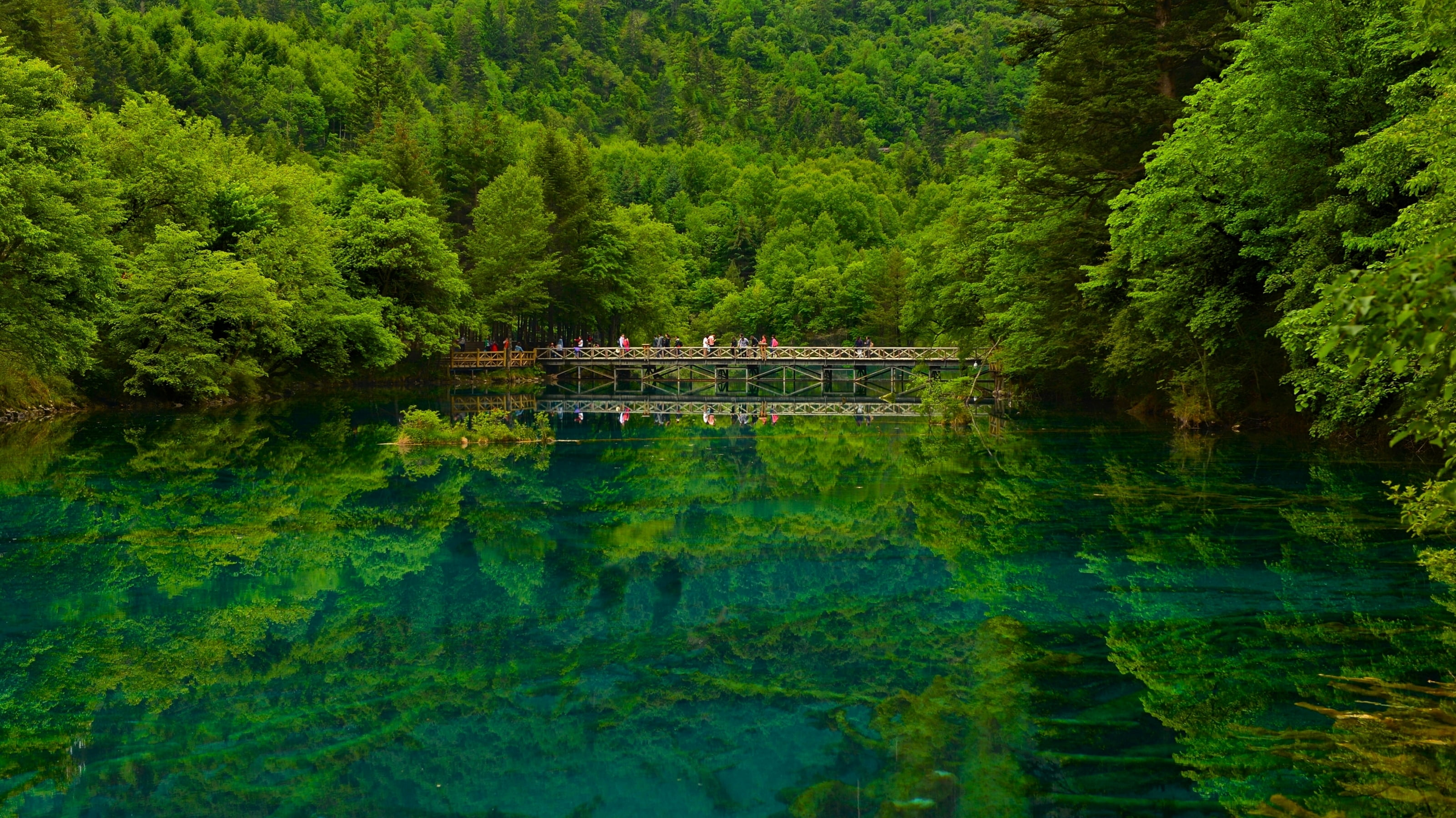 tranquility, Sichuan, scenics - nature, tree, foliage, bridge, green color, non-urban scene, no people, reflection, nature, brown, growth, lake, reserve, HD Wallpaper