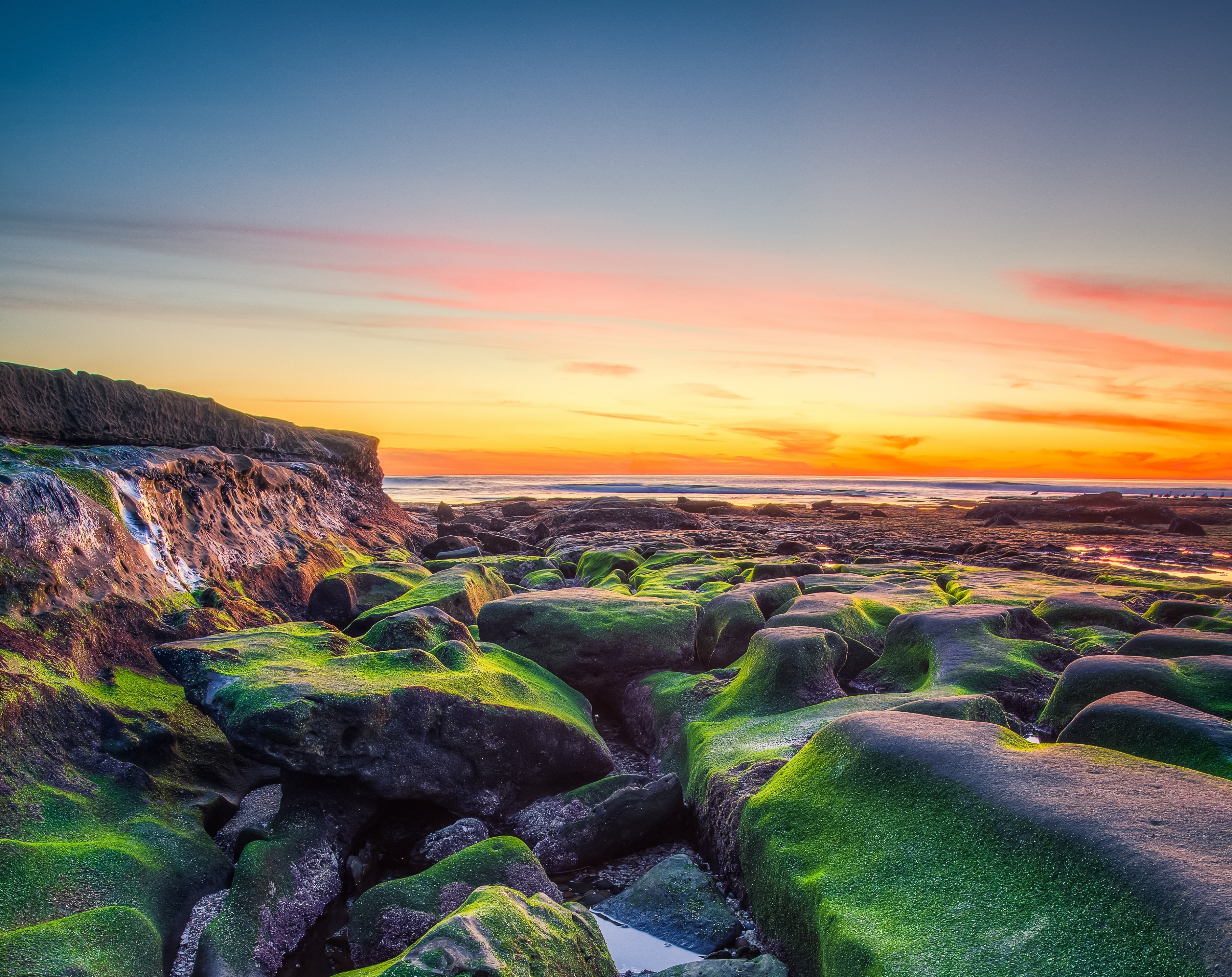 tranquil scene, no people, nature, tranquility, Moss, environment, scenics - nature, rock - object, Coastal, United States, tide, lajollashore, lowtide, HD Wallpaper