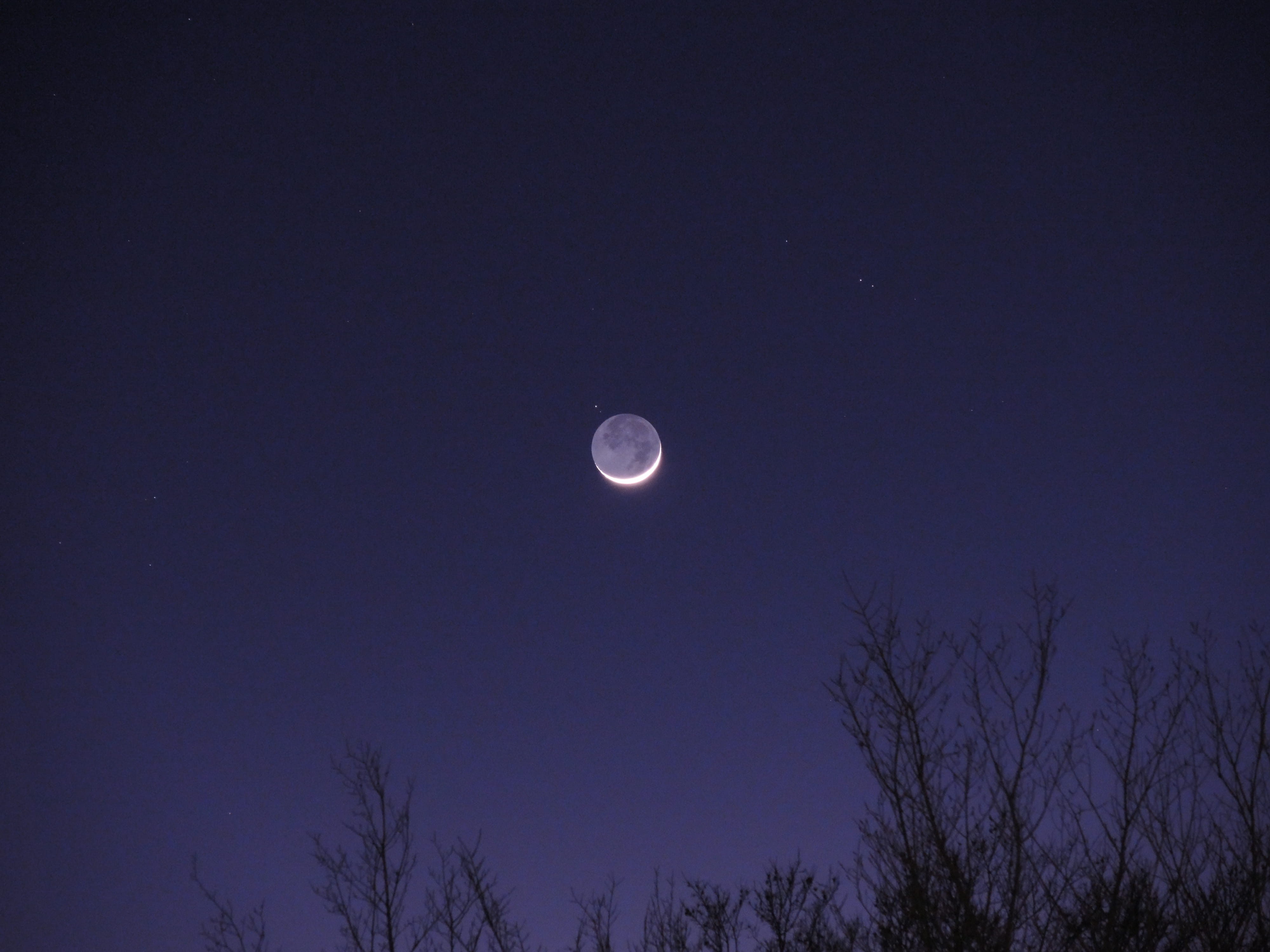 moonlight, no people, beauty in nature, scenics - nature, space, moon, clear sky, united states, tranquility, outdoors, arlington, astronomy, tree, plant, HD Wallpaper