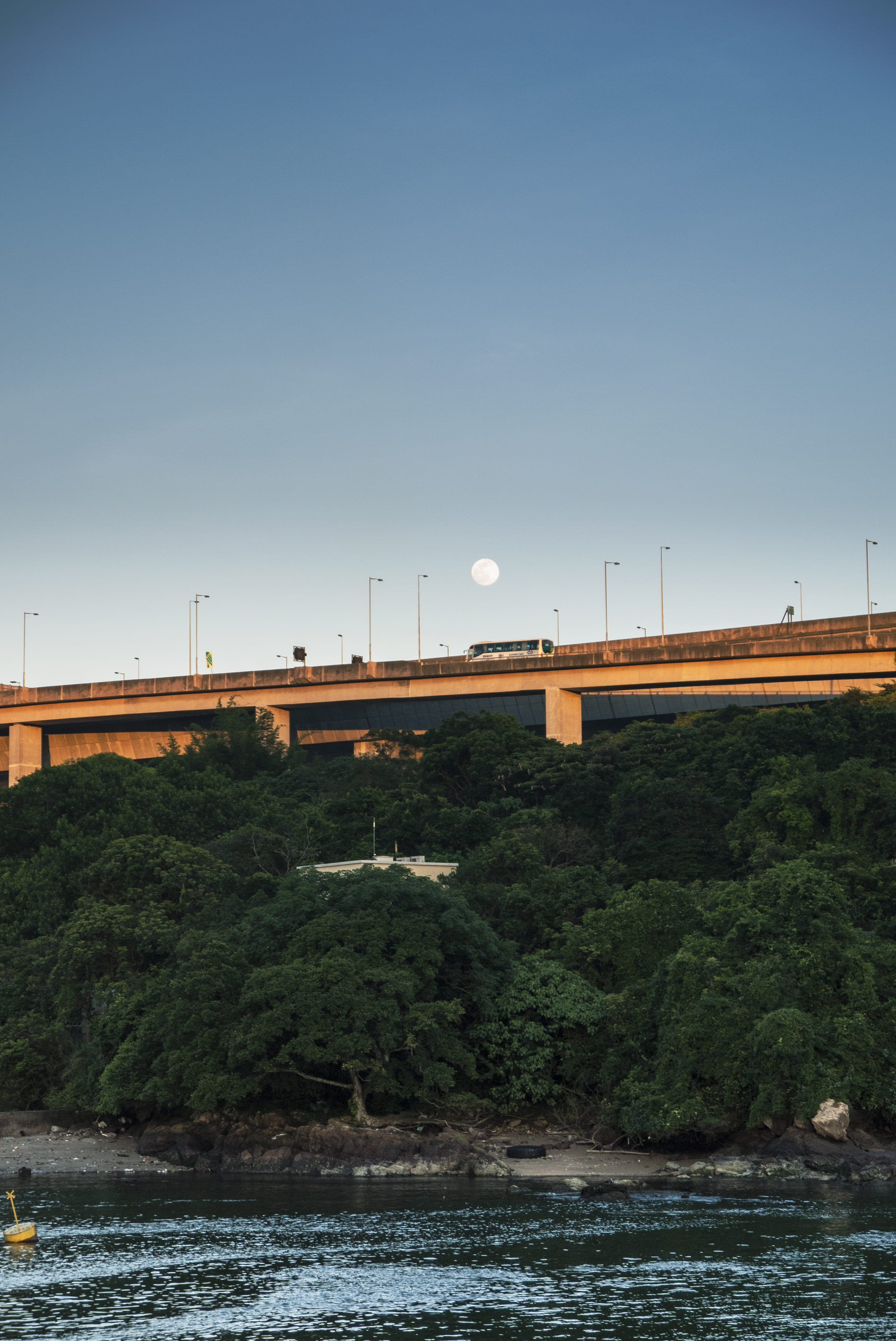 plant, day, connection, built structure, moonrise, architecture, no people, waterfront, copy space, outdoors, bus, bridge, clear sky, 4K, tree, beauty in nature, Phone HD Wallpaper