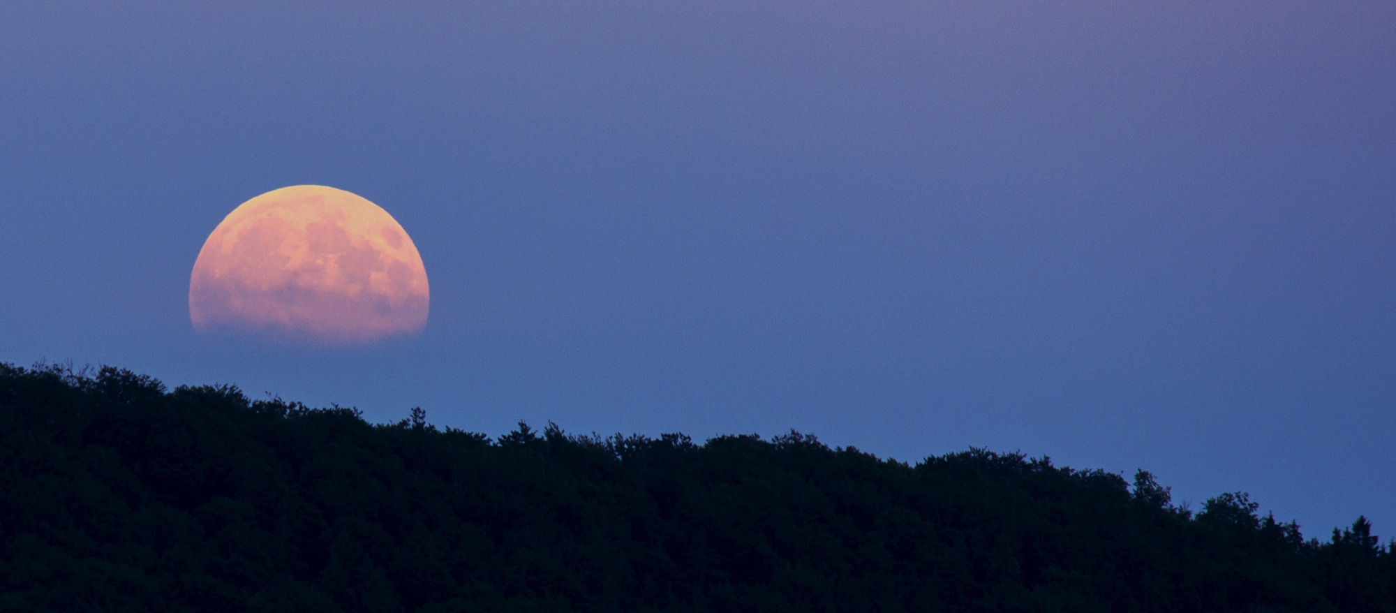 planetary moon, sky, super moon, astrology, nature, full, astronomy, 1080P, no people, scenics - nature, treetop, moonrise, moon, plant, landscape, mood, HD Wallpaper