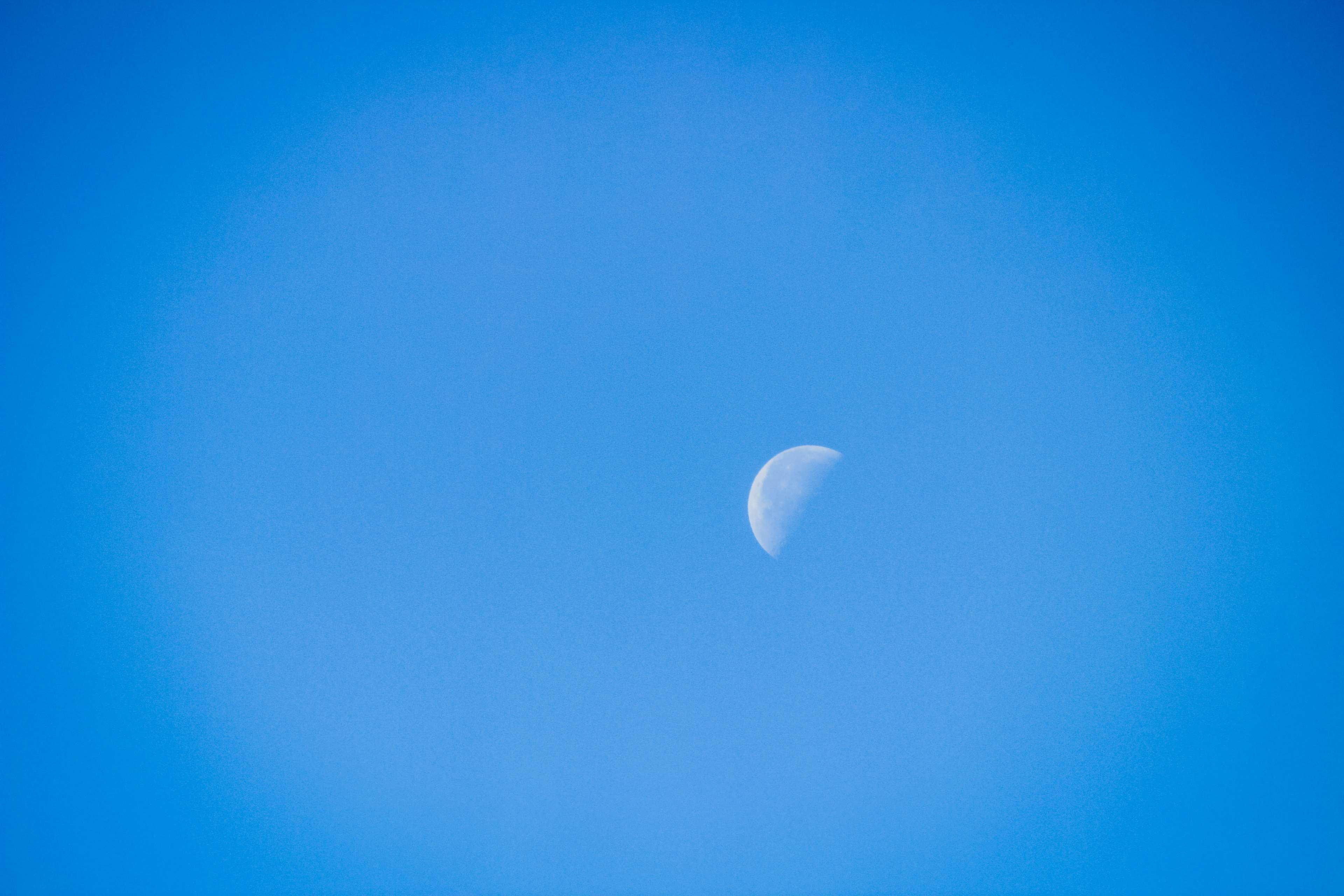 moon, sky, night, blue background, nature, low angle view, half moon, morning moon, astrology, scenics - nature, clear sky, no people, tranquility, blue, HD Wallpaper