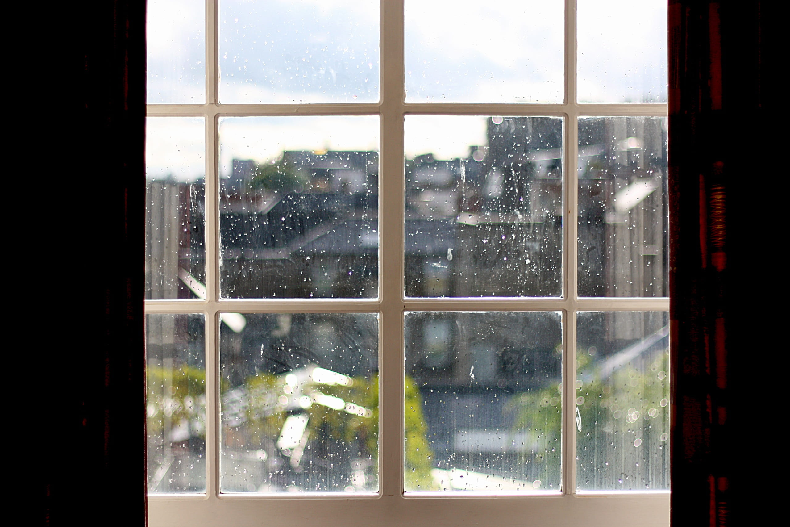 tree, Window, architecture, steel, glass, tent, rain, transparent, snow, wet, indoors, building, rainy day, no people, nature, Raindrop, built structure, HD Wallpaper
