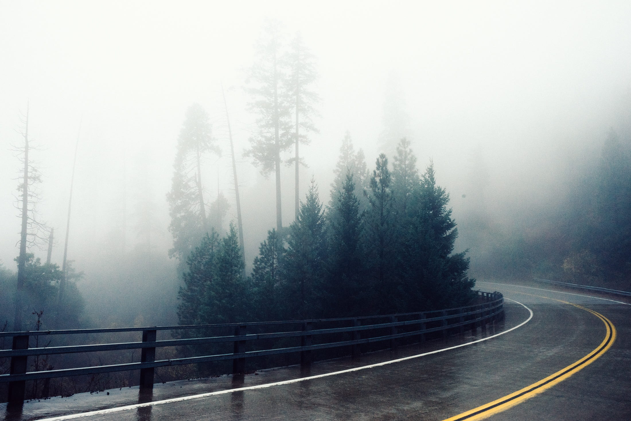 cold temperature, trees, tree, beauty in nature, direction, outdoors, misty, fog, concrete, photorgraphy, lane, curve, nature, symbol, the way forward, HD Wallpaper