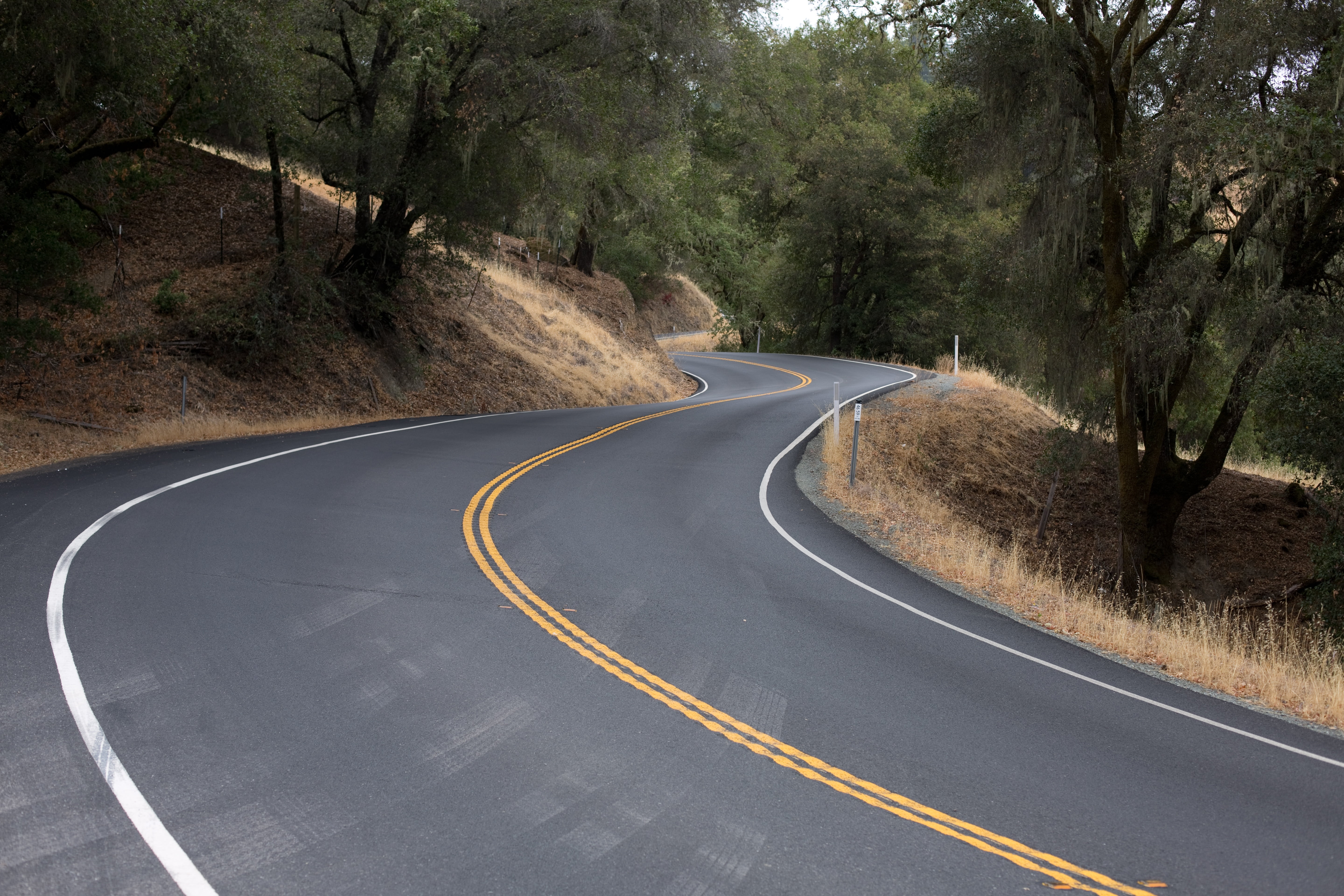 double yellow line, symbol, transportation, curvy road, trees, road, winding road, the way forward, outdoors, street, plant, forest, surrounded, day, tree, HD Wallpaper