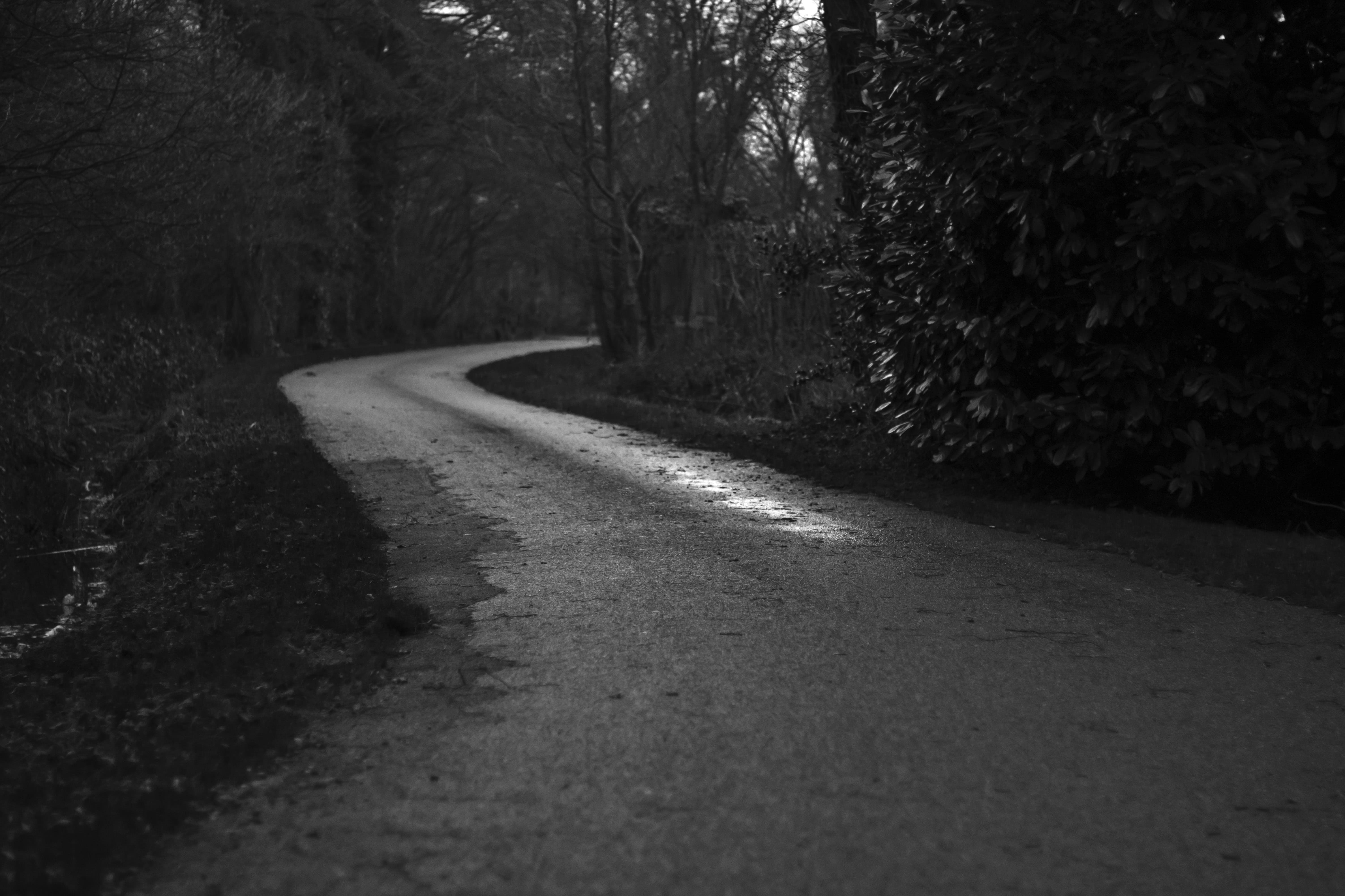 country, surface level, growth, black and white, rain, tranquility, beauty in nature, outdoors, direction, the way forward, ahead, long, wet, road, dark, HD Wallpaper