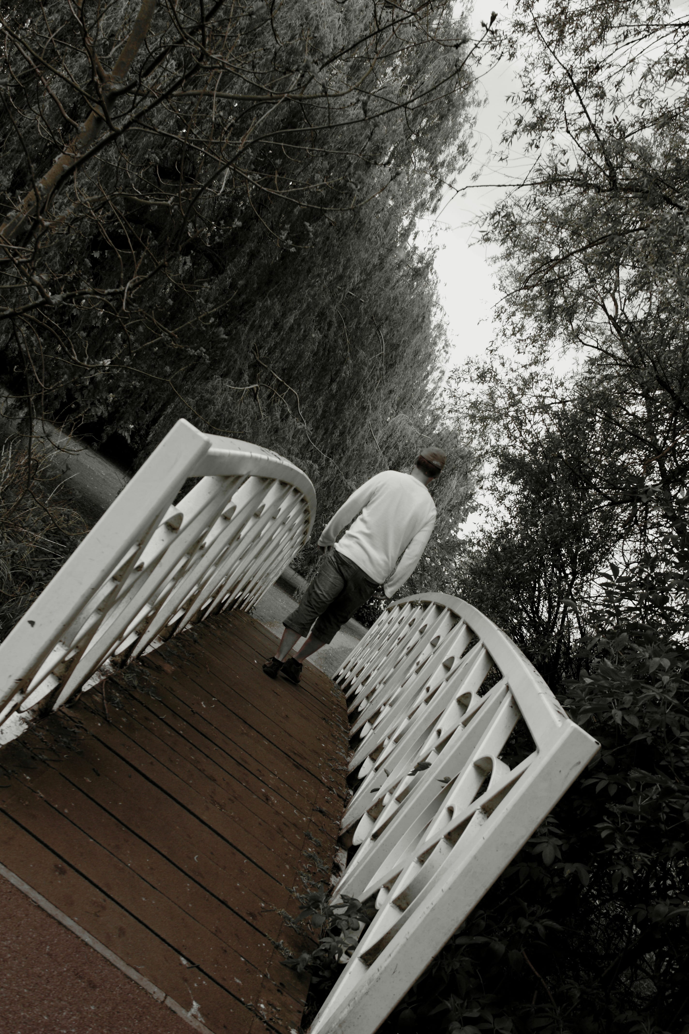 railing, bridge, depressed, branch, park, wood - material, plant, land, Walking, feel, Summer, close-up, nature, photography, Crossing, built structure, Phone HD Wallpaper