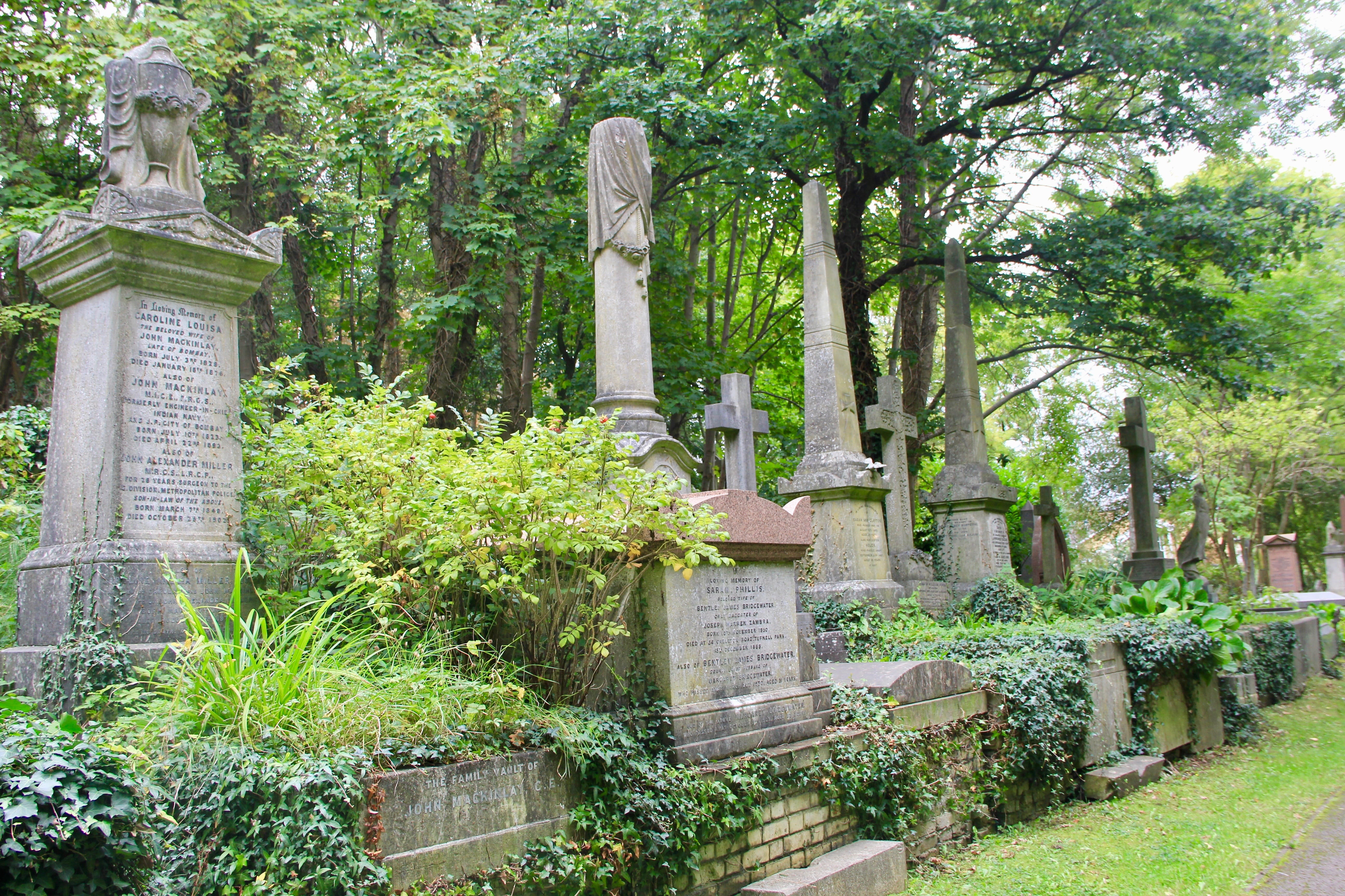 dead, growth, grave, sadness, no people, day, 5K, religious, cemetery, wealthy, memory, graveyard, stone material, headstone, tree, religion, graves, outdoors, HD Wallpaper