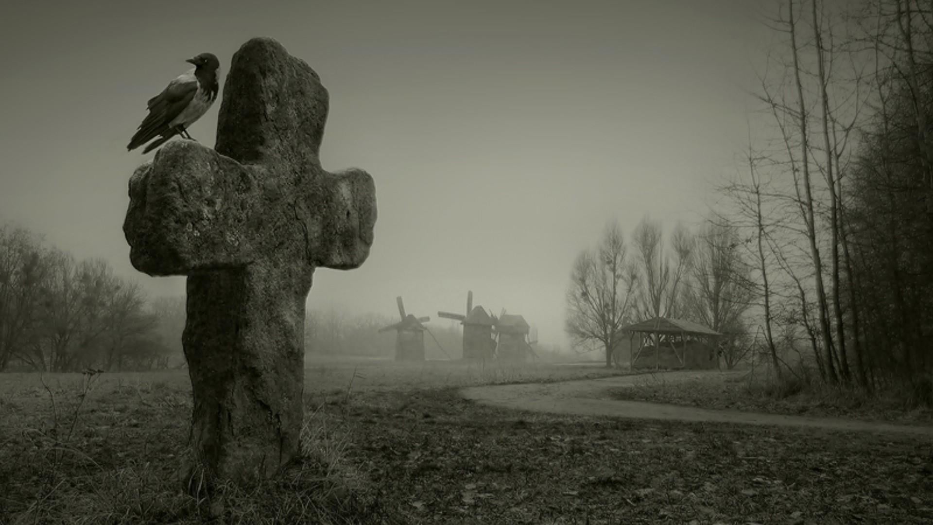 scary, photography, sadness, nature, no people, grass, death, art and craft, crow, hoodie, field, 1080P, environment, fog, tombstone, hooded crow, tree, HD Wallpaper