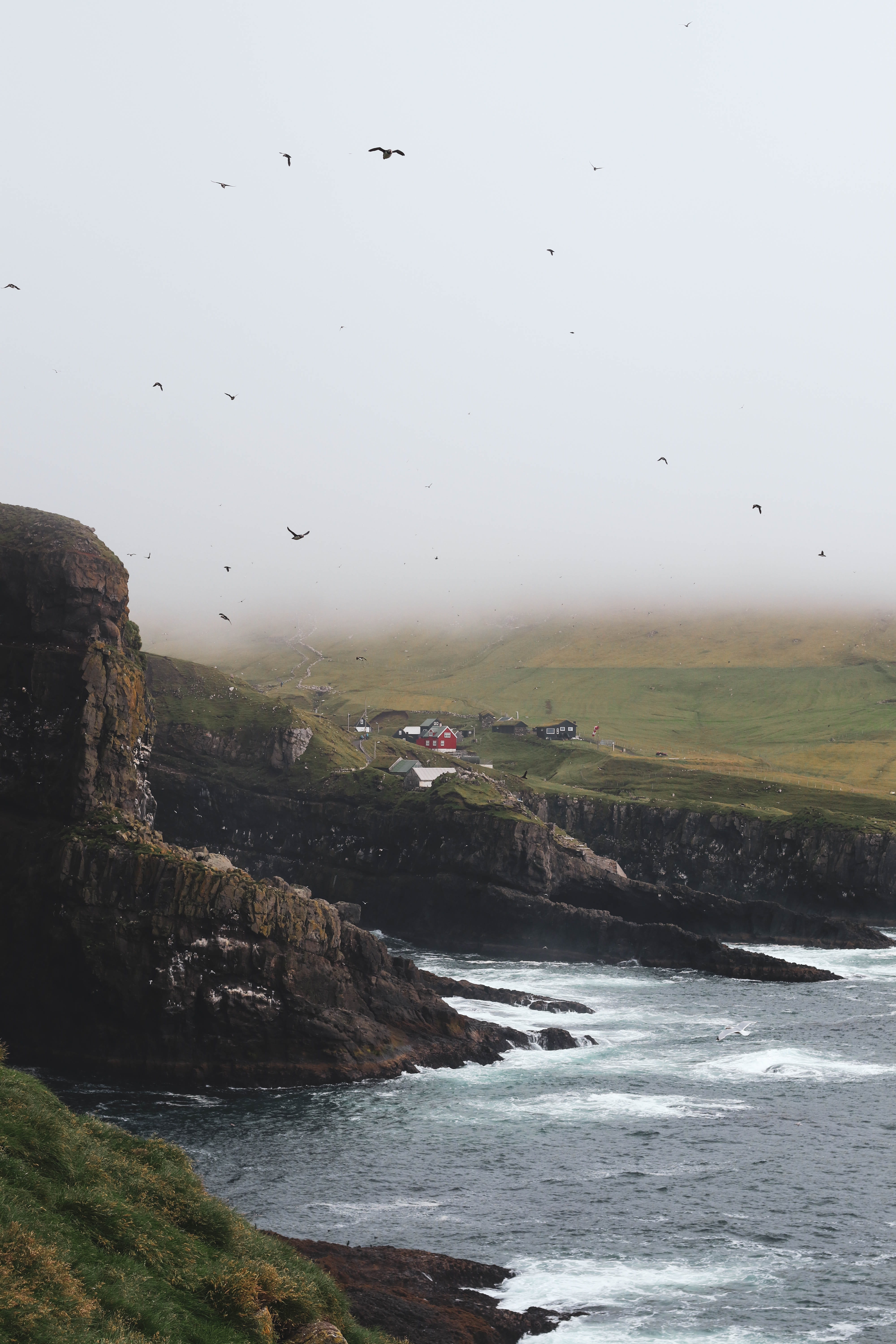 sky, no people, flight, sea, scenics - nature, group of animals, green, day, fog, landscape, body, non-urban scene, grey, faroe islands, tranquility, tranquil scene, Phone HD Wallpaper