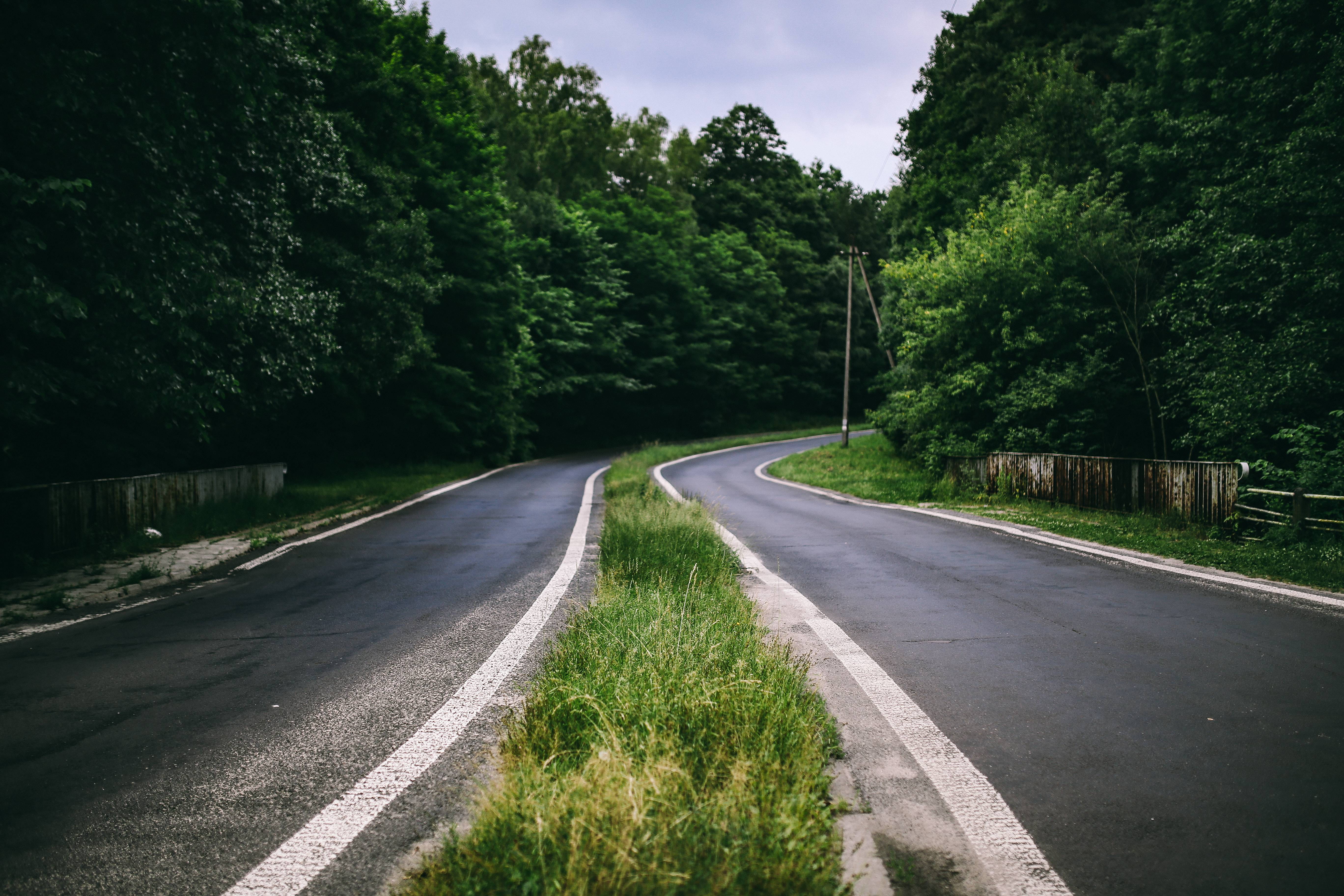 road, tranquility, plant, marking, sightseeing, sign, leaves, nature, tree, direction, scenics, road marking, dividing line, woodlands, grass, growth, green, HD Wallpaper