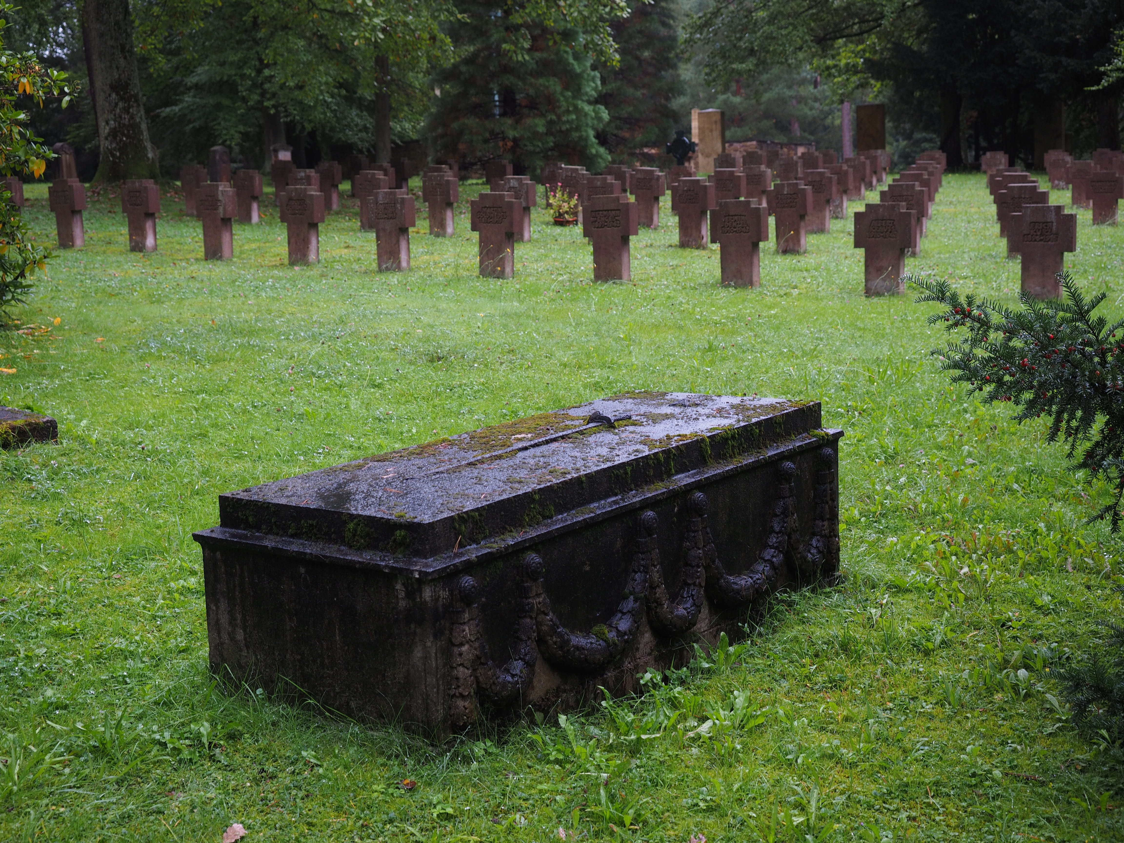 day, religion, green color, last calm, grave, grass, soldiers graves, brown, 4K, tomb, outdoors, plant, memorial, forest cemetery stuttgart, grave stones, HD Wallpaper