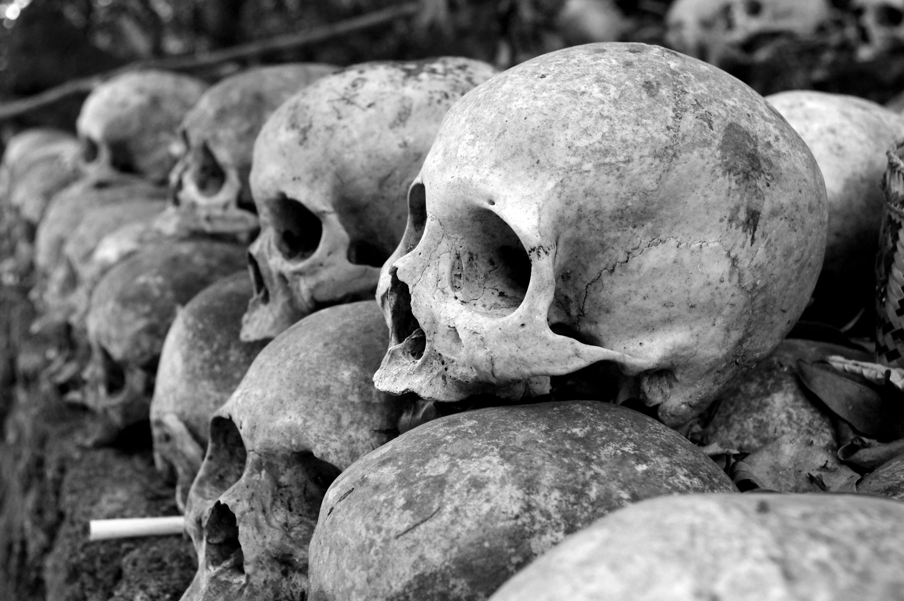 grey, rock, still life, frame, human skeleton, missing, bali, architecture, skull, close-up, halloween, skittish, death, skulls, fear, the past, ground, HD Wallpaper