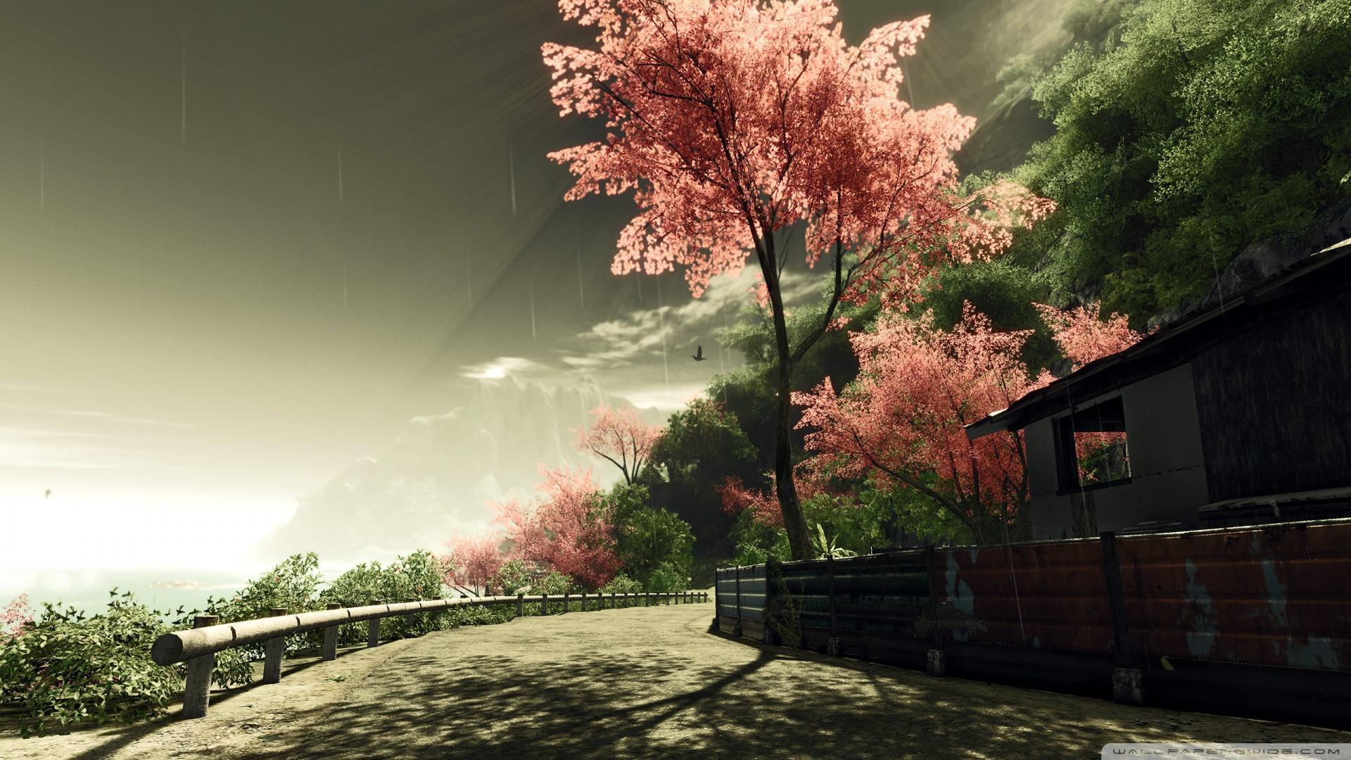 mountain, rain, house, fantasy, 3d and abstract, road, tree, 1080P, cherry, HD Wallpaper