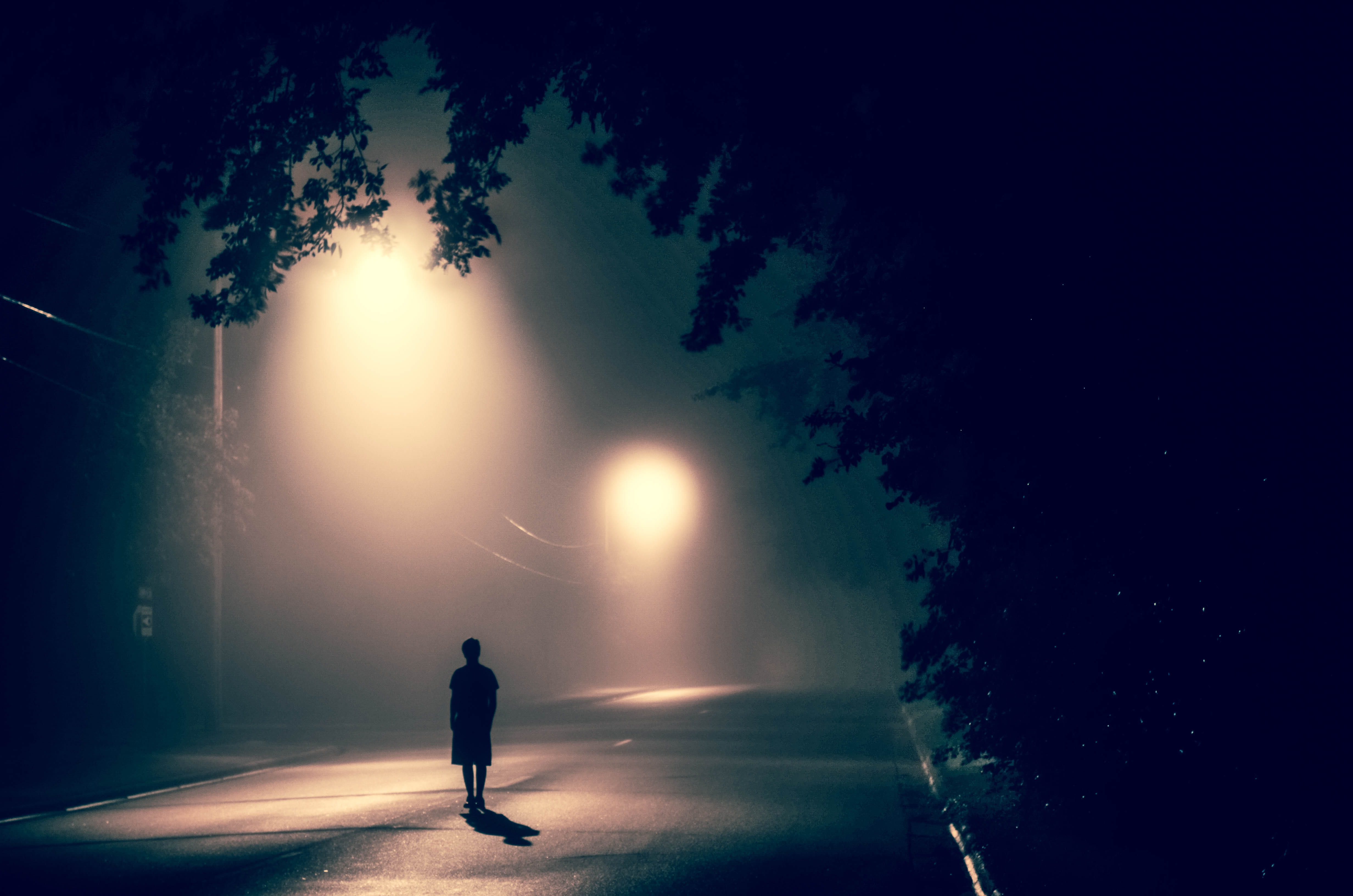 plant, street, silhouette, tree, full length, rear view, concrete, 4K, illuminated, turned, standing, adult, sky, road, nighttime, outdoors, leisure activity, HD Wallpaper