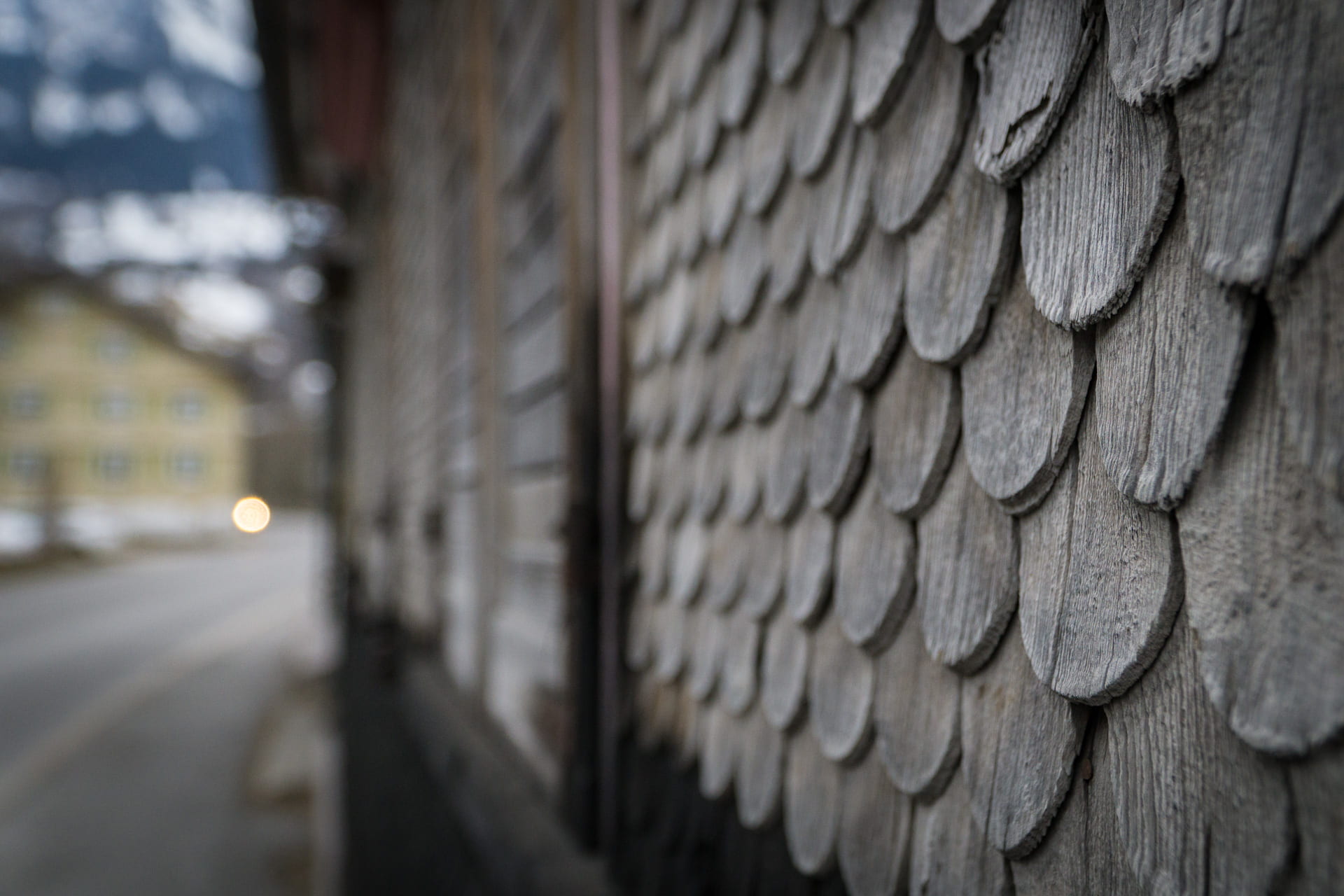 building exterior, city, urban, trees, outdoors, road, pavement, street, construction industry, close -up, brick wall, nature, focus on foreground, wall - building feature, HD Wallpaper