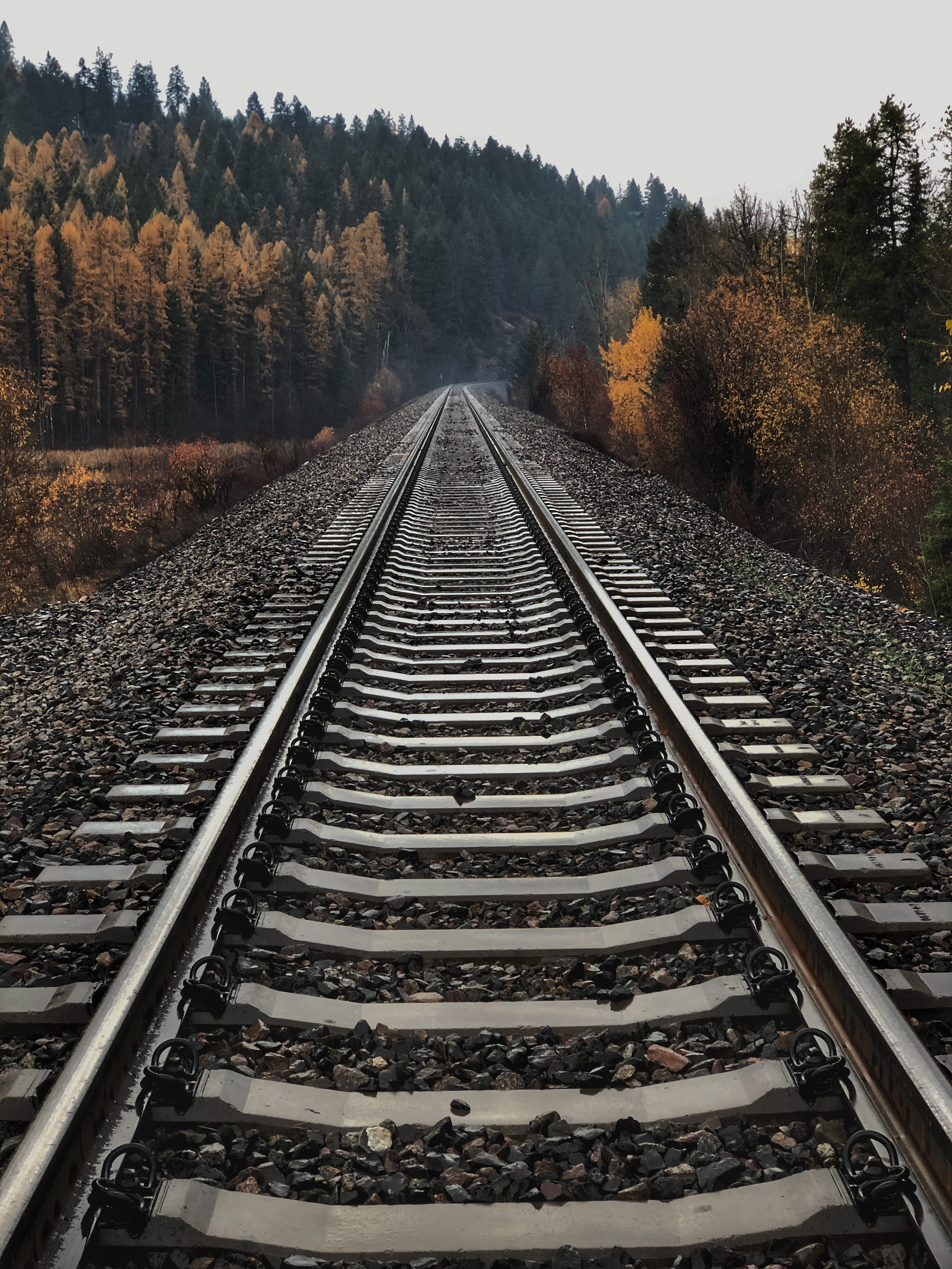 parallel, direction, long, metal, beauty in nature, iphone, 4K, change, railroad track, nature, tree, scenics - nature, track, tall, non-urban scene, diminishing perspective, Phone HD Wallpaper