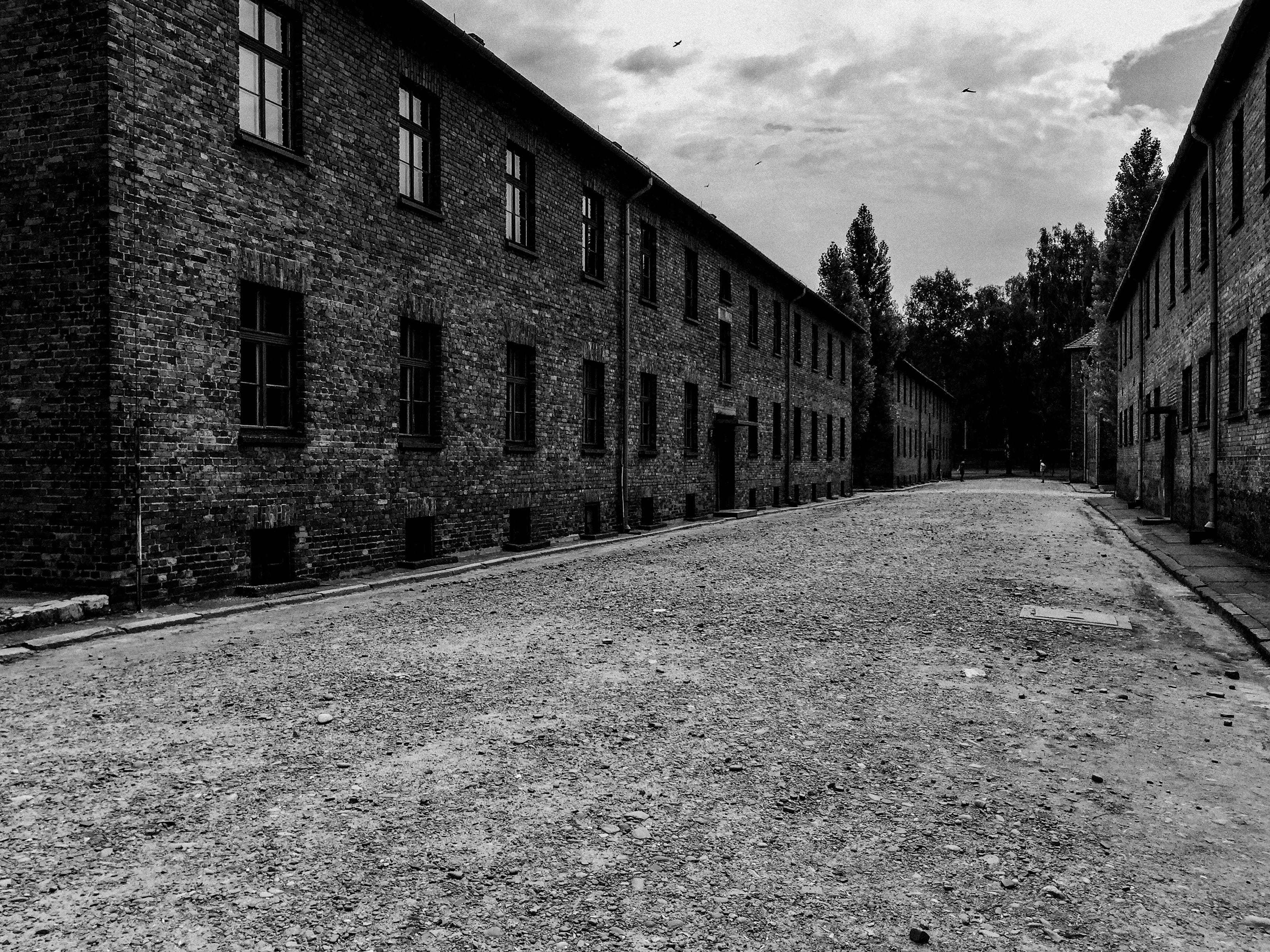 city, building exterior, street, row house, no people, black and white, sad, residential district, empty, cloud - sky, window, nature, tree, monochrome, HD Wallpaper