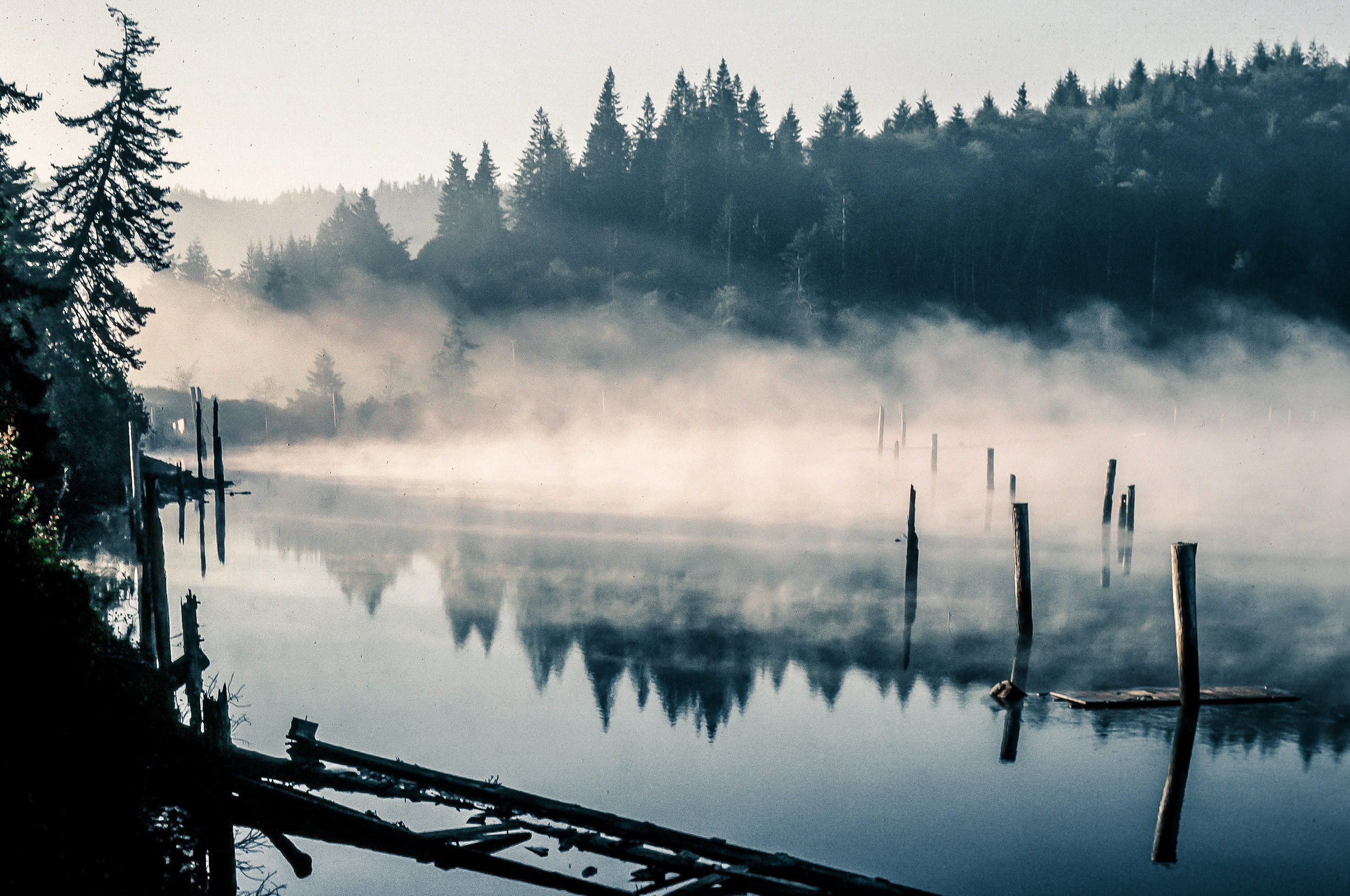 boat, water, no people, Lake, plant, pier, wooden post, Sail, dawn, Wood, outdoors, tranquil scene, mysterious, day, forest, Mist, poles, scenics - nature, HD Wallpaper