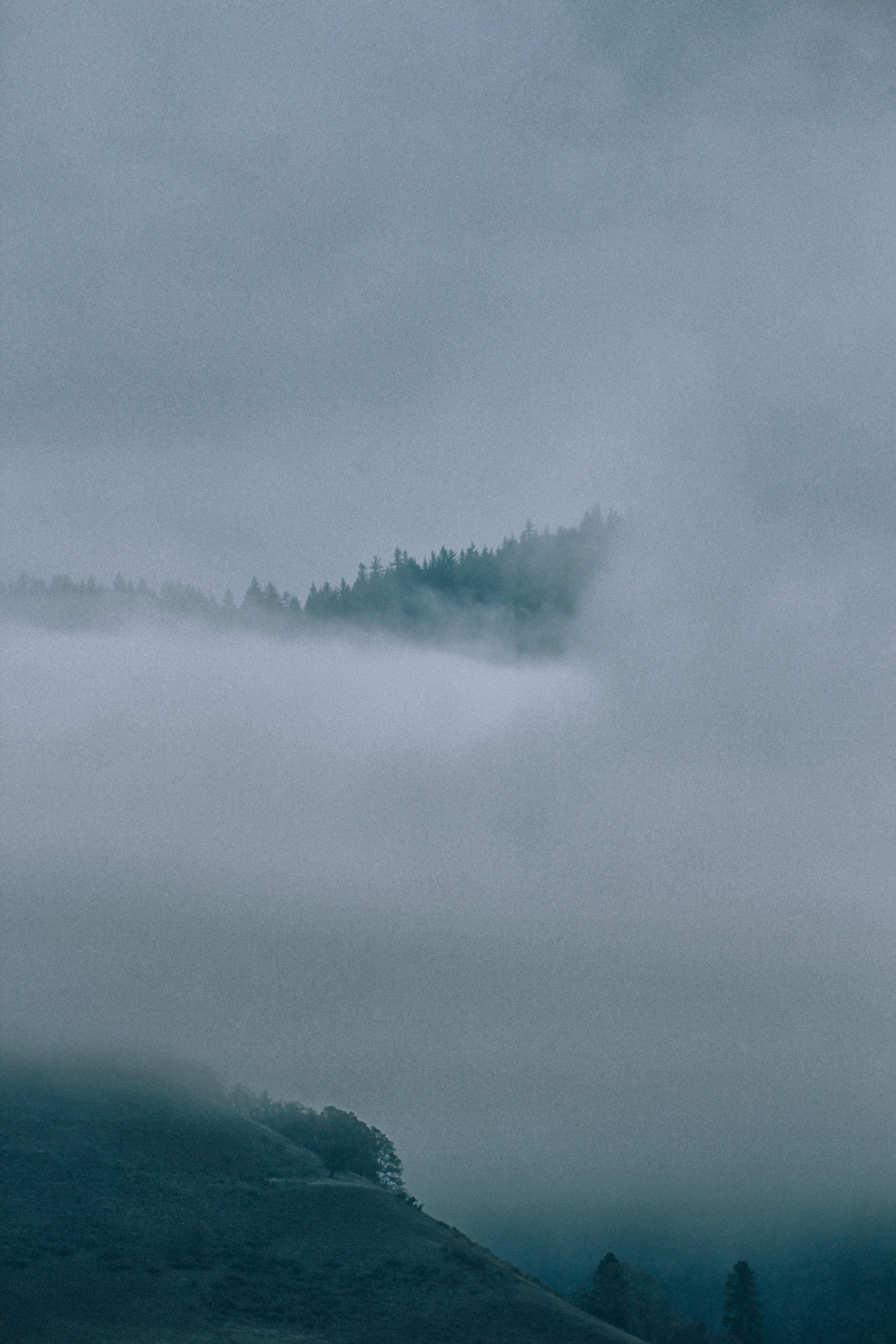 weather, foggy, water, environment, united states, fog, tranquil scene, hazy, mountain, forest, cloud - sky, eery, hillside, day, remote, tranquility, covering, Phone HD Wallpaper