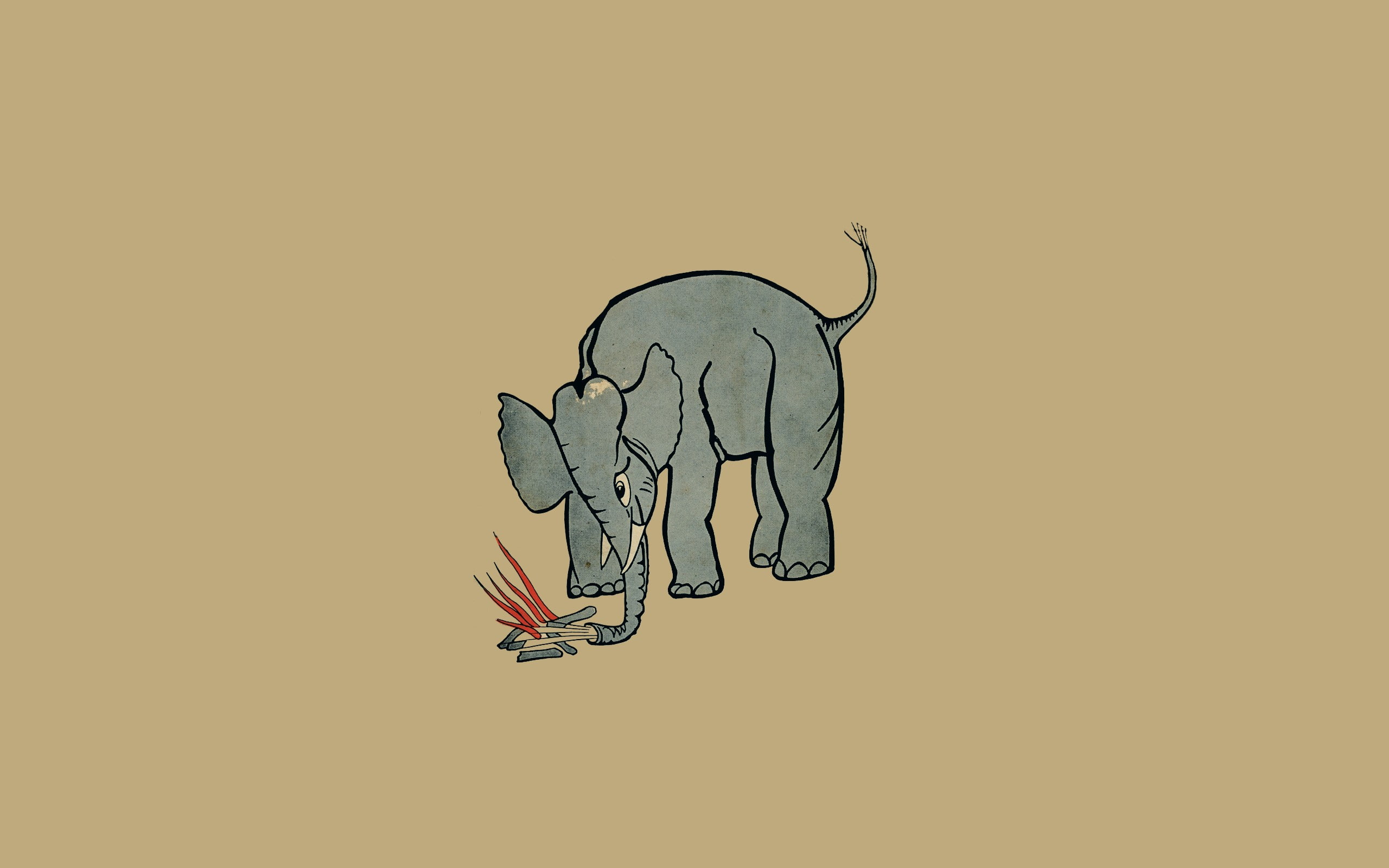 Album Covers, Campfire, elephant, minimalism, 2K, music, Mount Eerie (Band), HD Wallpaper