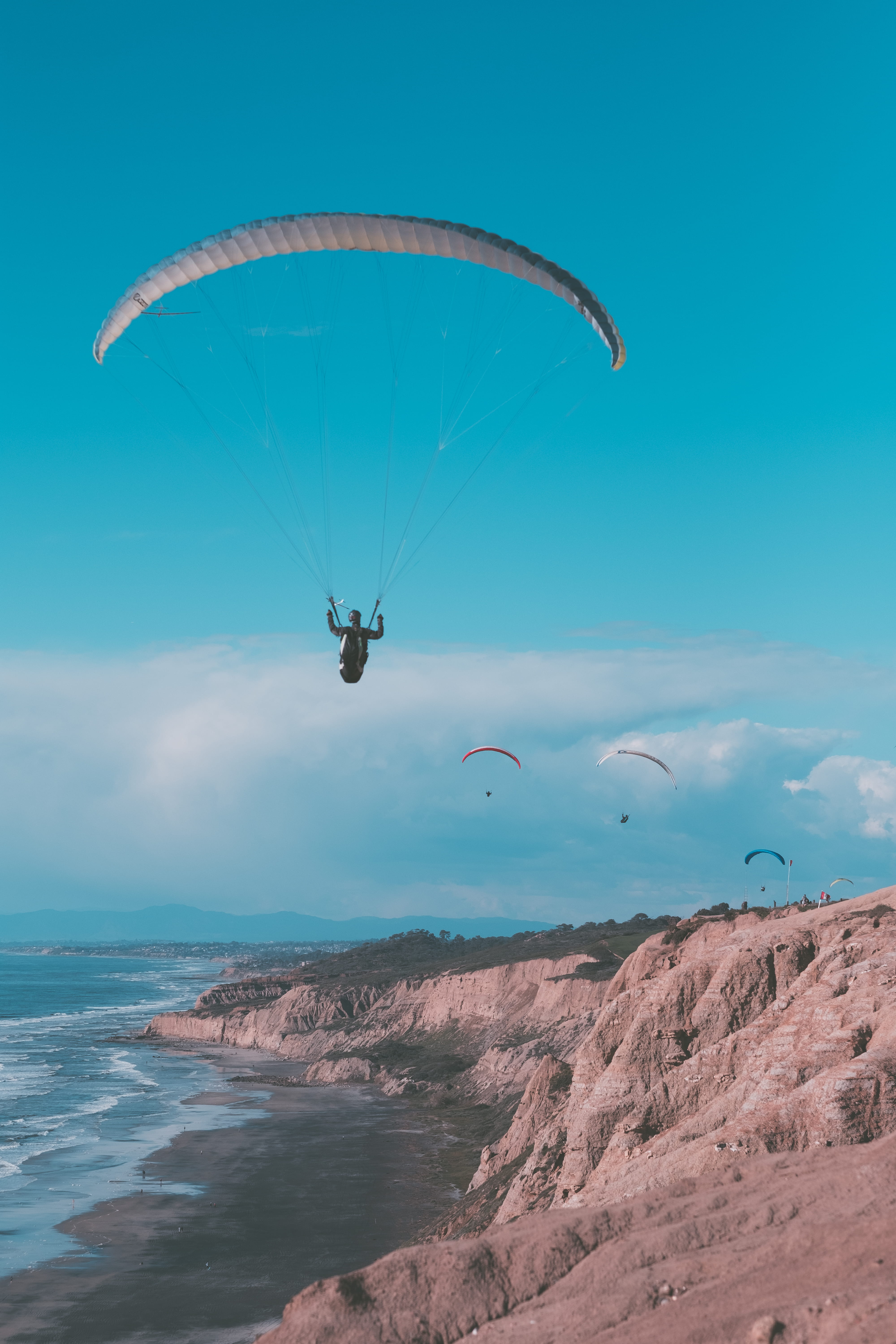 nature, ca, real people, bird, beauty in nature, joy, pines, extreme sports, parachutes, united states, 5K, paragliding, sea, sport, lifestyles, animal, Phone HD Wallpaper