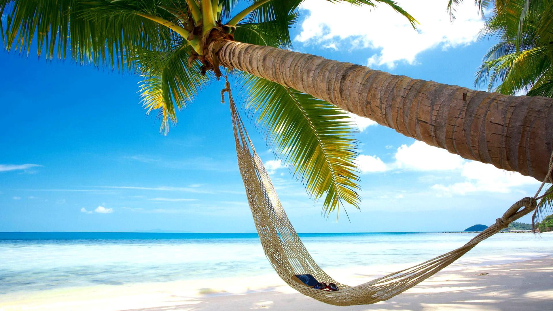 hammocks, sea, scenery, coconut, 1080P, blue, sky, blue sea sky scenery, beaches, coconut trees, trees, HD Wallpaper