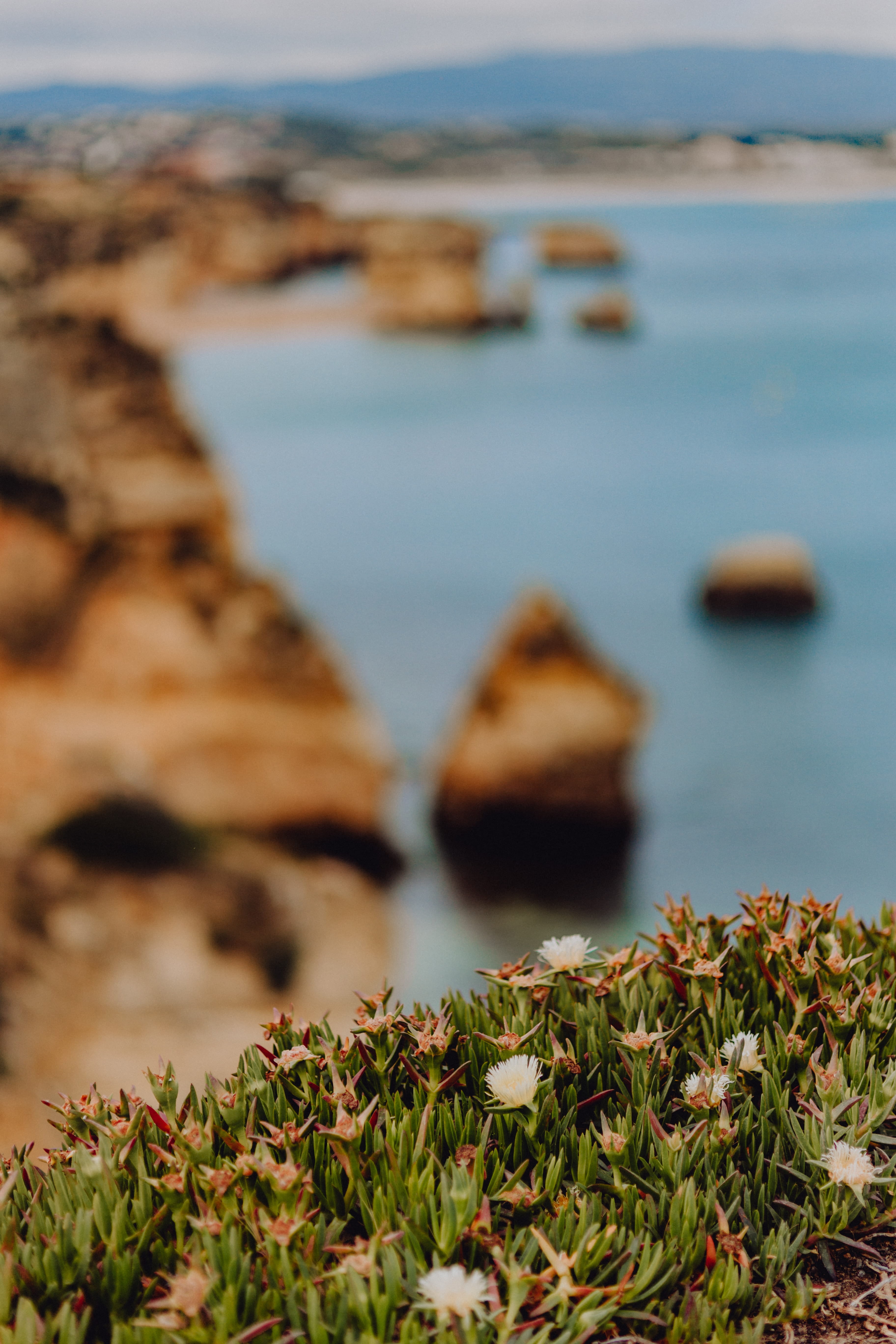 vacations, tranquil scene, waterscape, land, seaside, solid, rock, sea, plant, ocean, beauty in nature, bay, vacation, day, close-up, Europe, tranquility, Phone HD Wallpaper