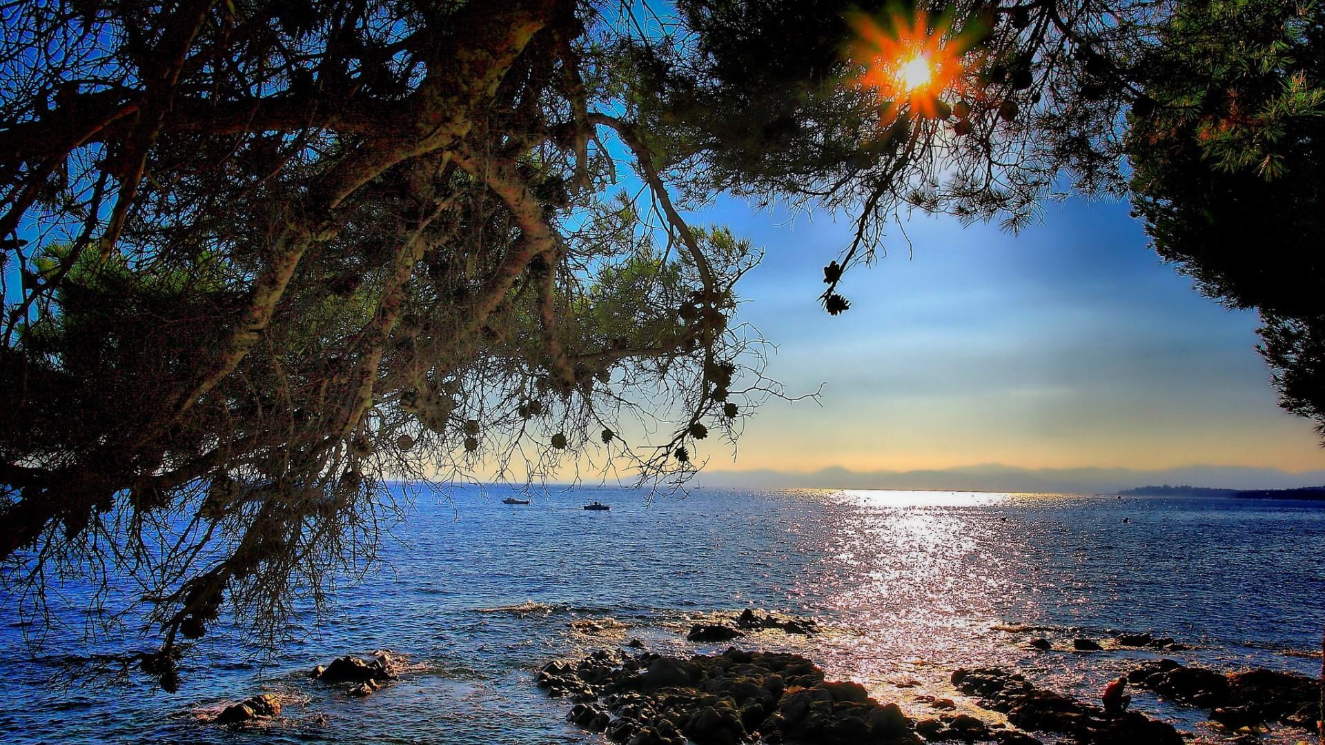 land, tranquil scene, outdoors, beach, blue sea, tranquility, sky, coast, nature, body of water, tree, non-urban scene, beauty in nature, no people, sun, HD Wallpaper