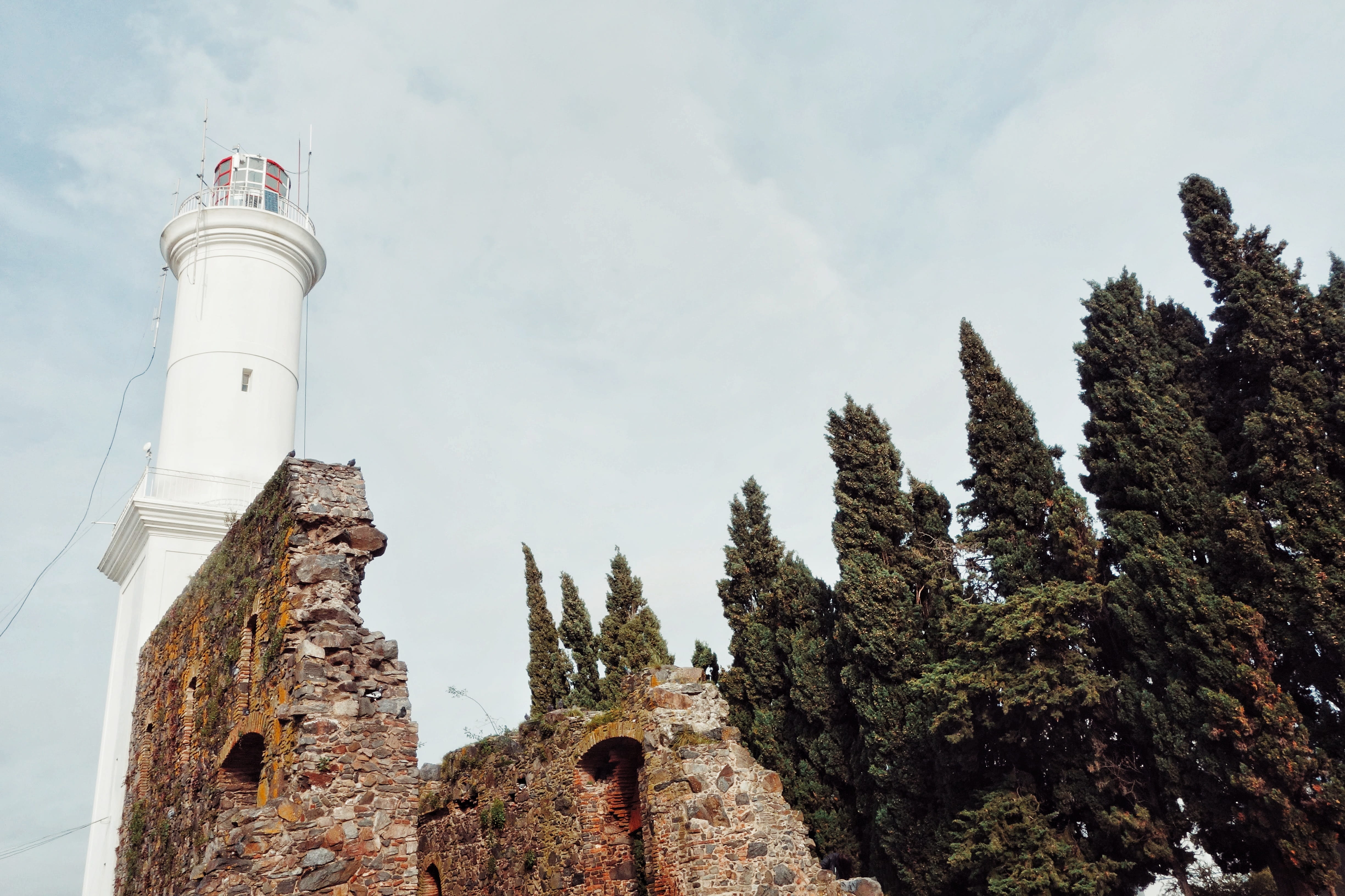 plant, tower, nature, history, cloud - sky, 4K, sky, low angle view, building exterior, colonia del sacramento, architecture, lighthouse, travel destinations, HD Wallpaper