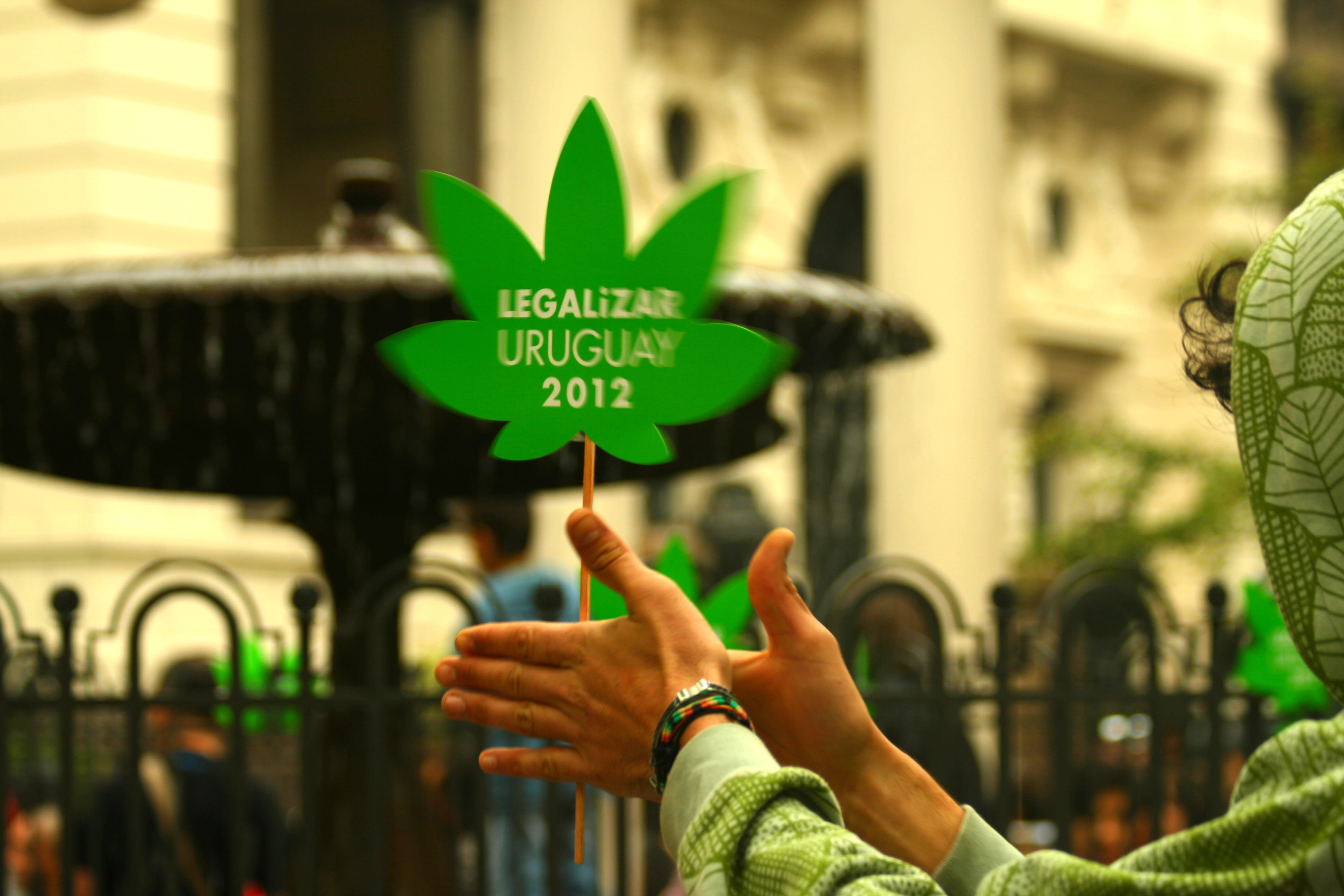 4K, legal, human limb, communication, day, hand, women, montevideo, human finger, marihuana, pot, marijuana, focus on foreground, marihuana legal uruguay, HD Wallpaper