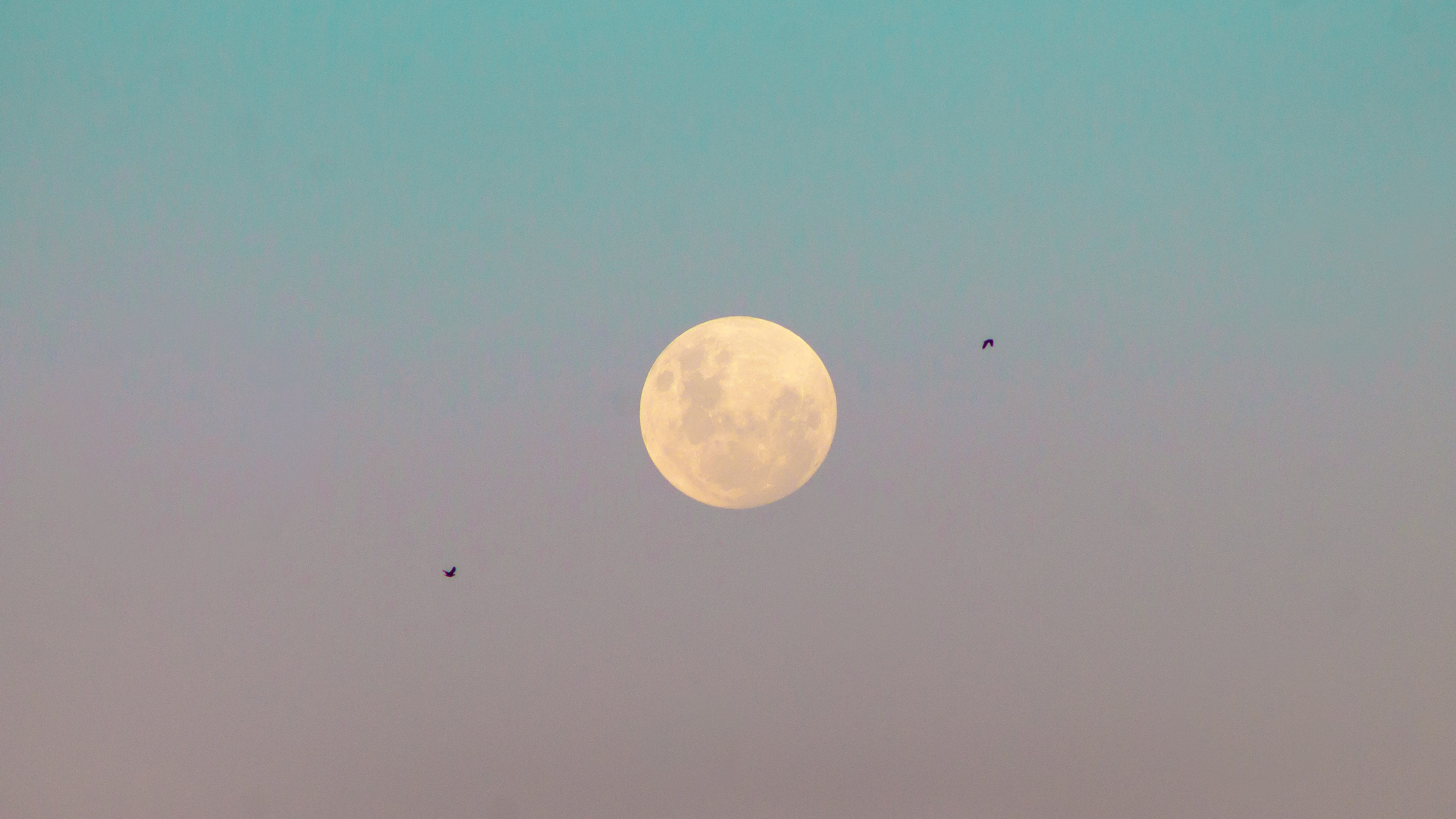 planetary moon, 4K, tranquility, night, idyllic, sky, astrology, full moon, beauty in nature, outdoors, uruguay, clear sky, tranquil scene, no people, HD Wallpaper