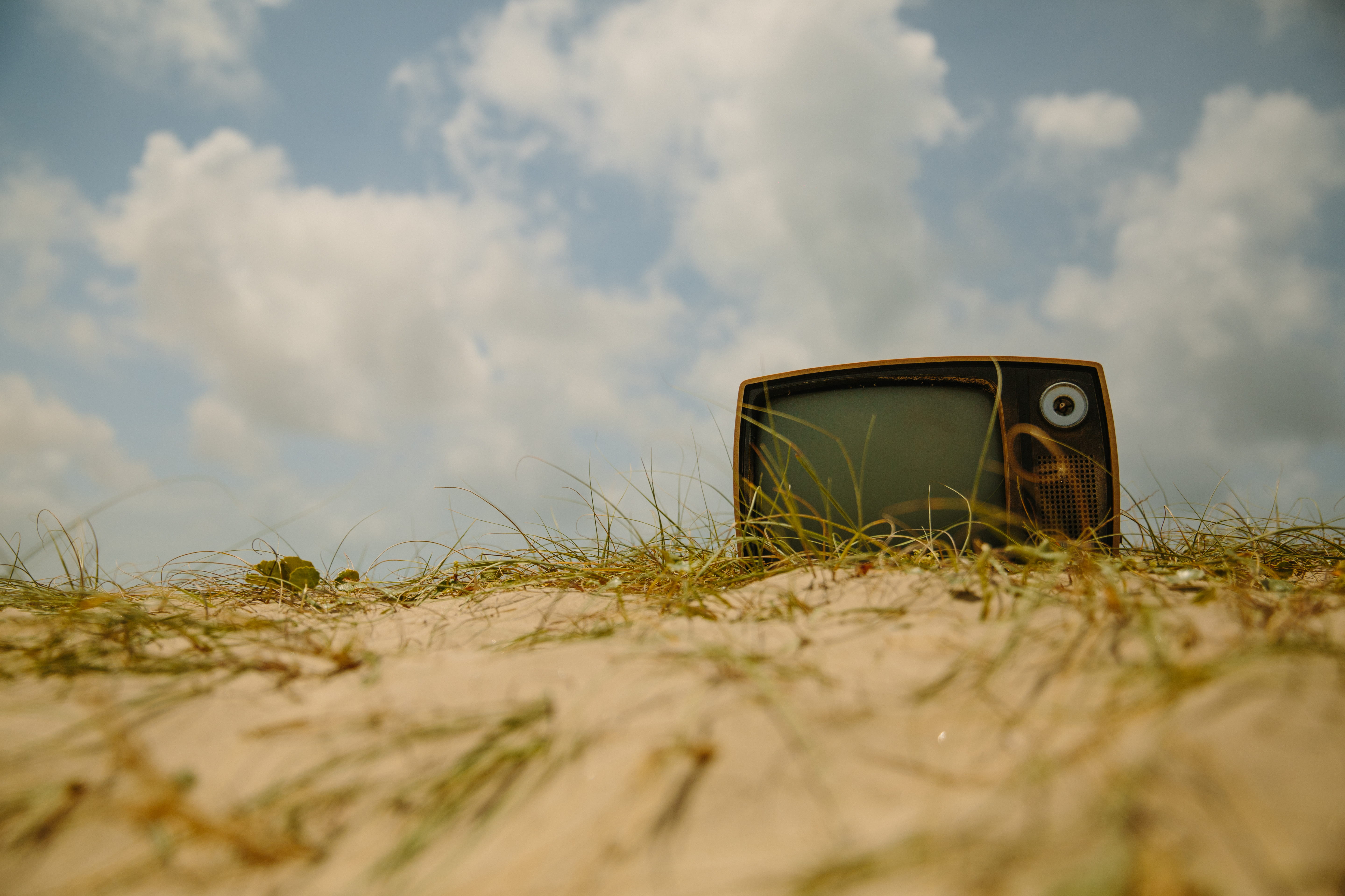 nature, plant, environment, soil, travel, grass, day, beach, transportation, retro, surface level, live, selective focus, sand, cabo polonio uruguay, no people, HD Wallpaper