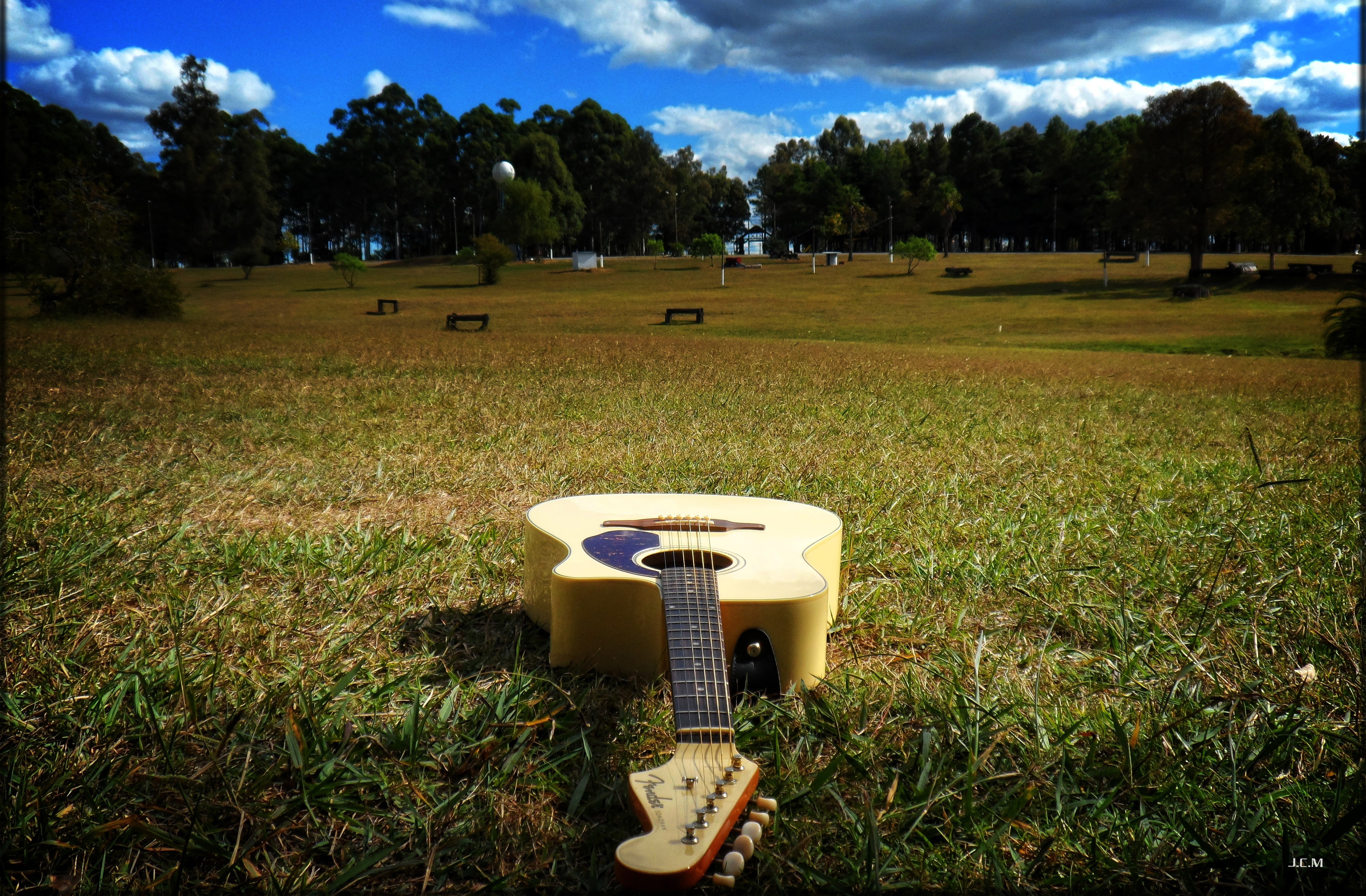 field, sport, nature, 4K, technology, tree, day, plain, plant, sky, outdoors, absence, sunlight, land, growth, environment, green color, landscape, bob marley guitar landscape uruguay fender acoustic guitar musical instrument, HD Wallpaper