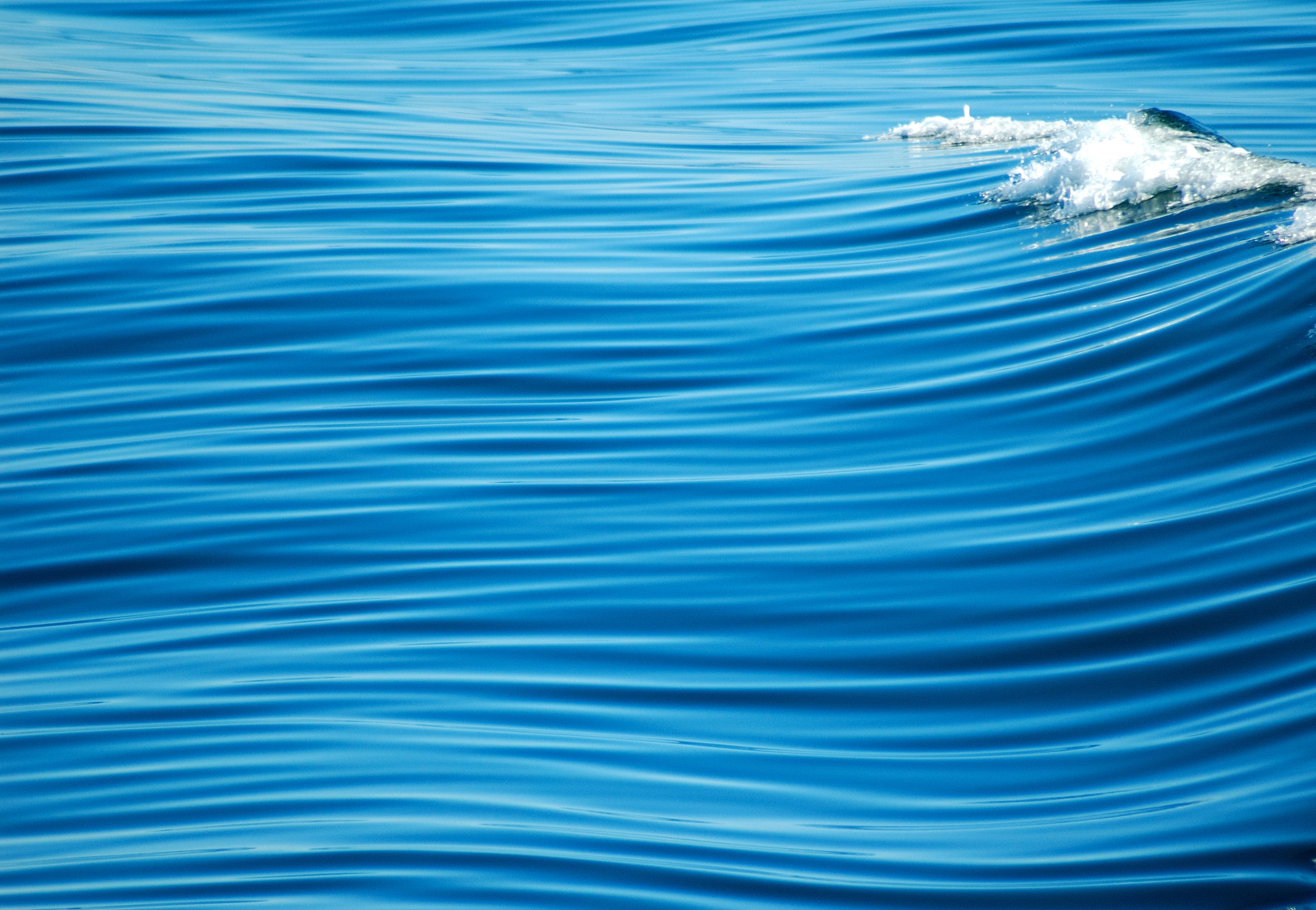 photography, motion, blue, silky, 2K, smooth, texture, sea, nature, Lines, USA, f25, backgrounds, water, deniz, selective, top, crisp, blue   ocean, Calm, HD Wallpaper