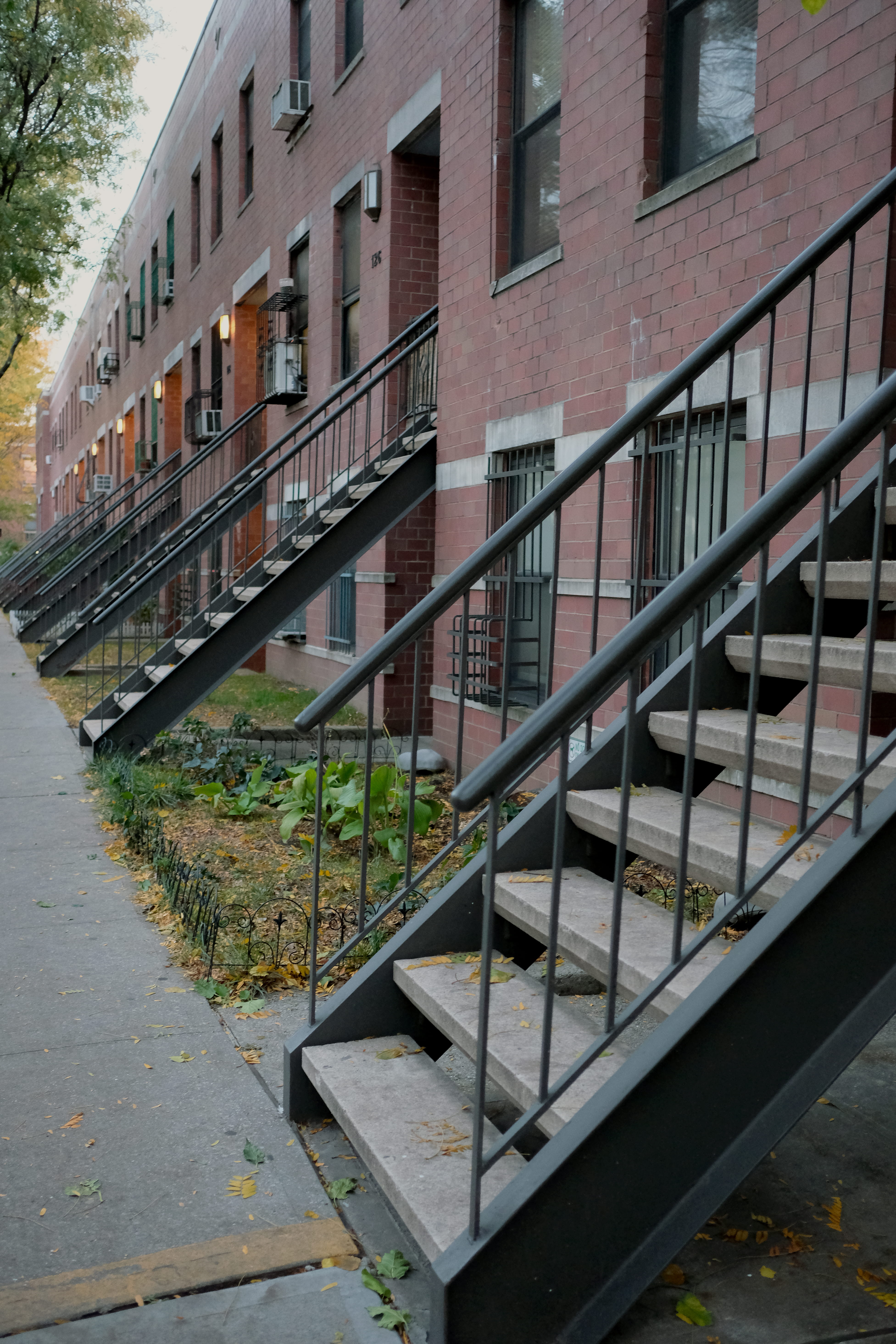 united states, footpath, city, 5K, railing, no people, plant, built structure, ny, neighbour, road, reflection, usa, green, stairs, outdoors, building, Phone HD Wallpaper