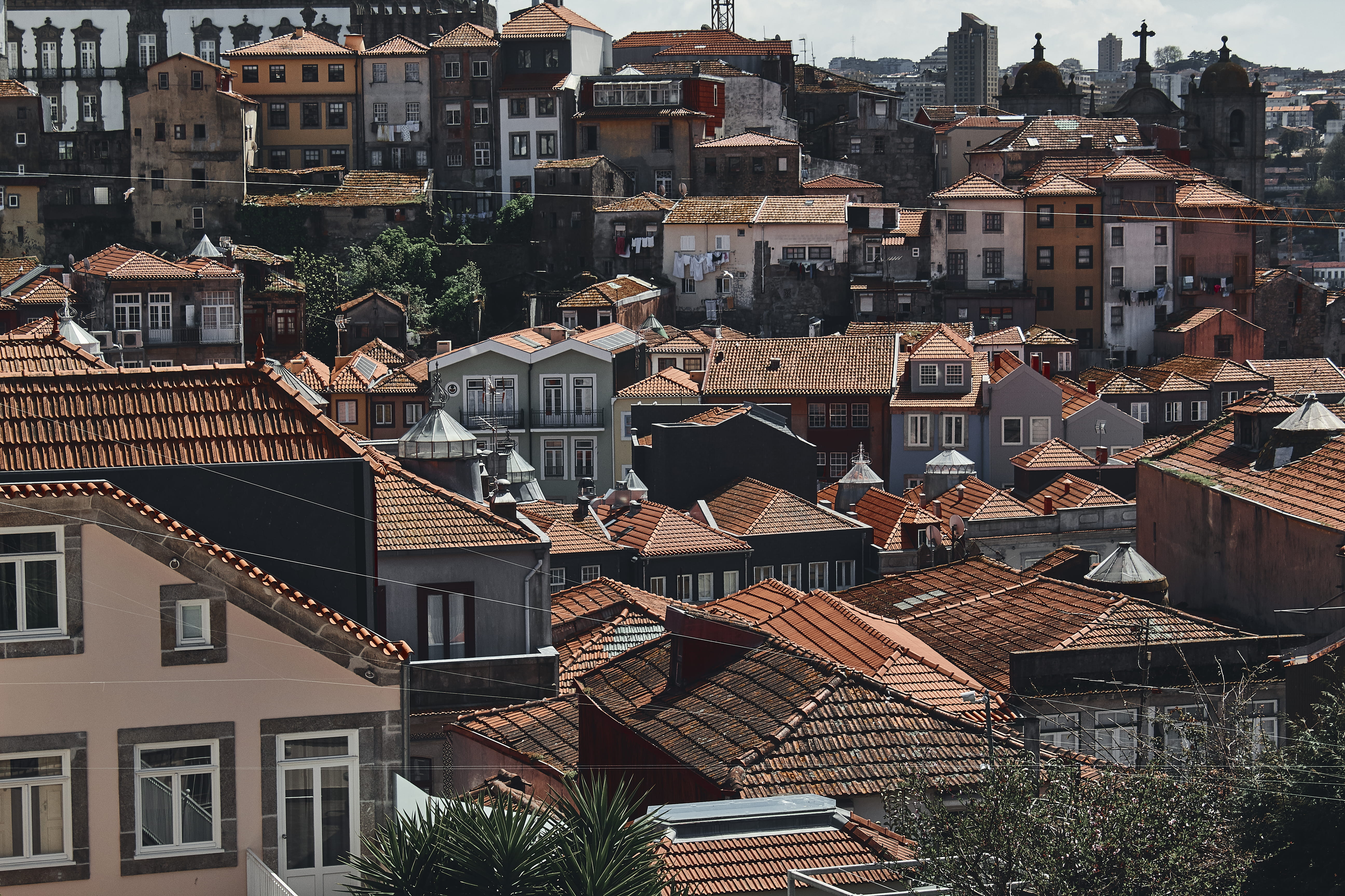 townscape, roof tile, roofs, residential district, house, architecture, building exterior, living, window, community, day, high angle view, outdoors, crowded, HD Wallpaper