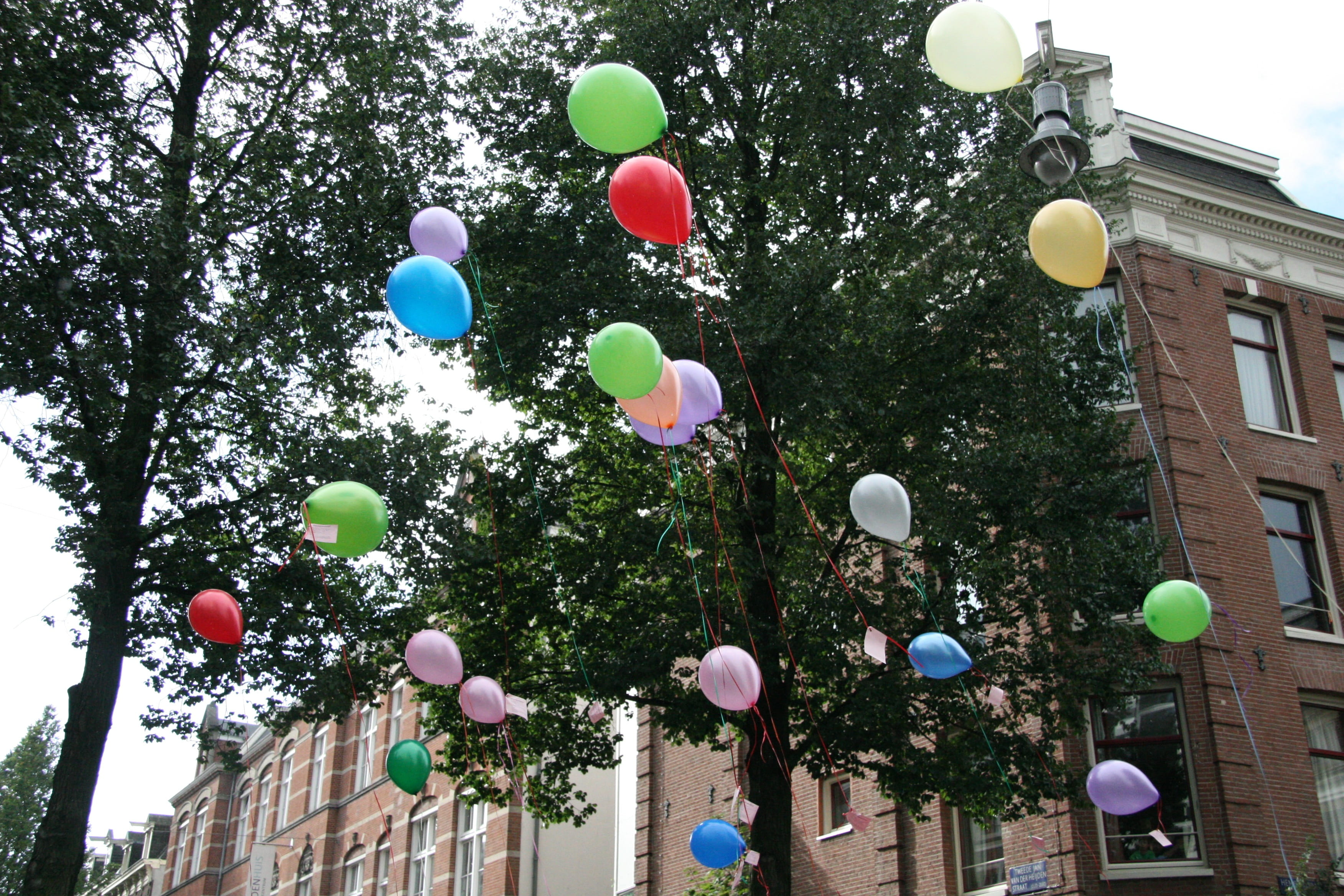 day, street scene, hanging, nature, built structure, tree, multi colored, balloon, decoration, balloons, building exterior, amsterdam, plant, inflatable, HD Wallpaper
