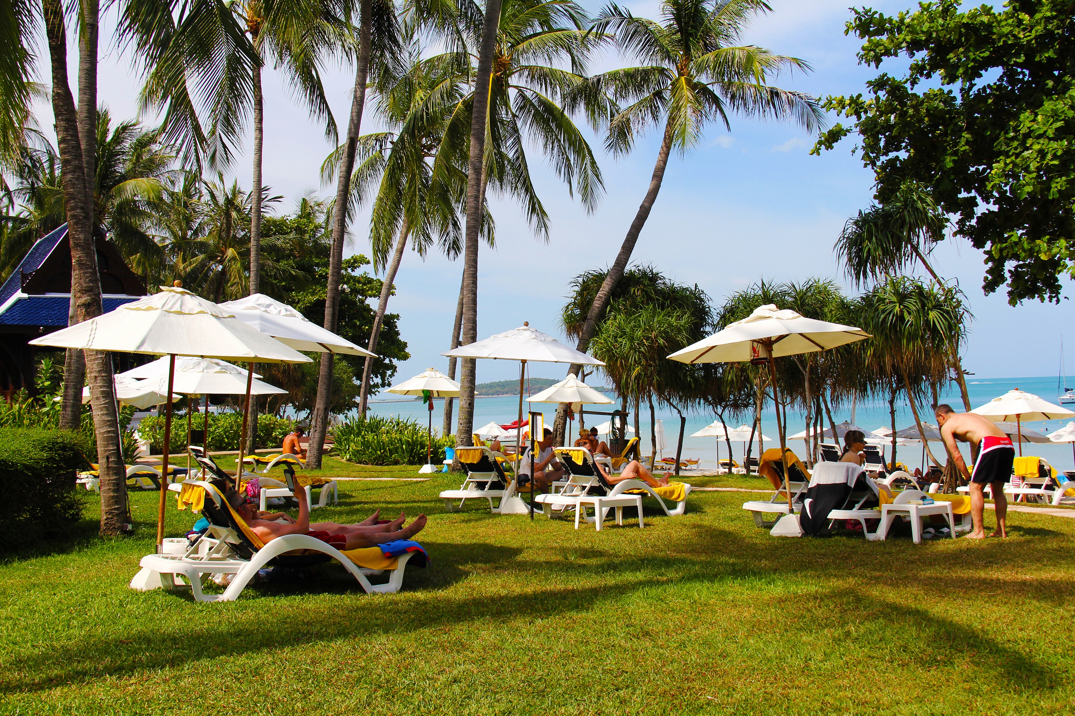 resort, relax, group of people, holiday, seaside, exotic, palm tree, leisure activity, vacation, thailand, land, coast, sky, tree, palm trees, sea, outdoor, HD Wallpaper