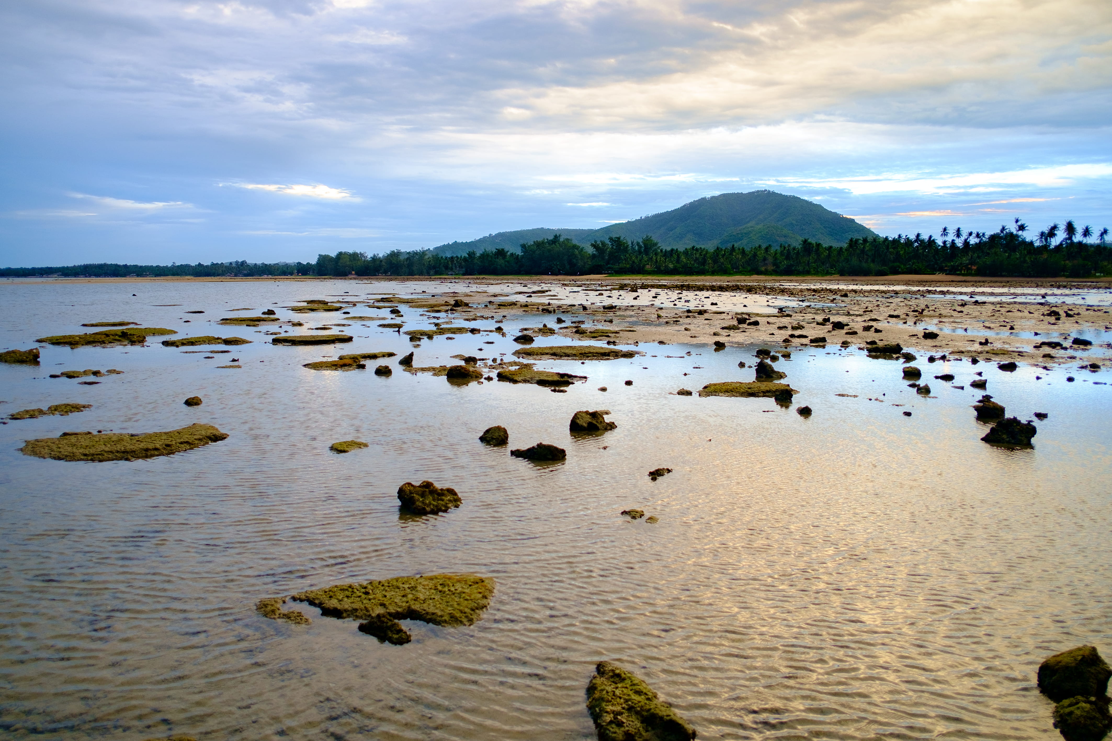 cloud - sky, animal, water, environment, asia, scenics - nature, tranquility, non-urban scene, thailand, rock - object, no people, ko samui, three, nature, HD Wallpaper