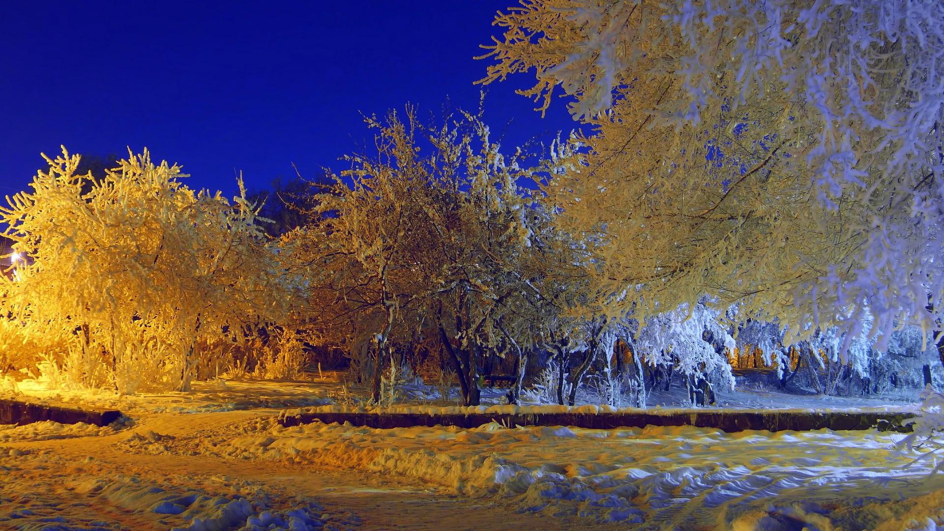 trees, lights, avenue, golden, evening, 3d and abstract, snow, photography, night, winter, leaves, mister, forest, good, landscape, 1080P, HD Wallpaper