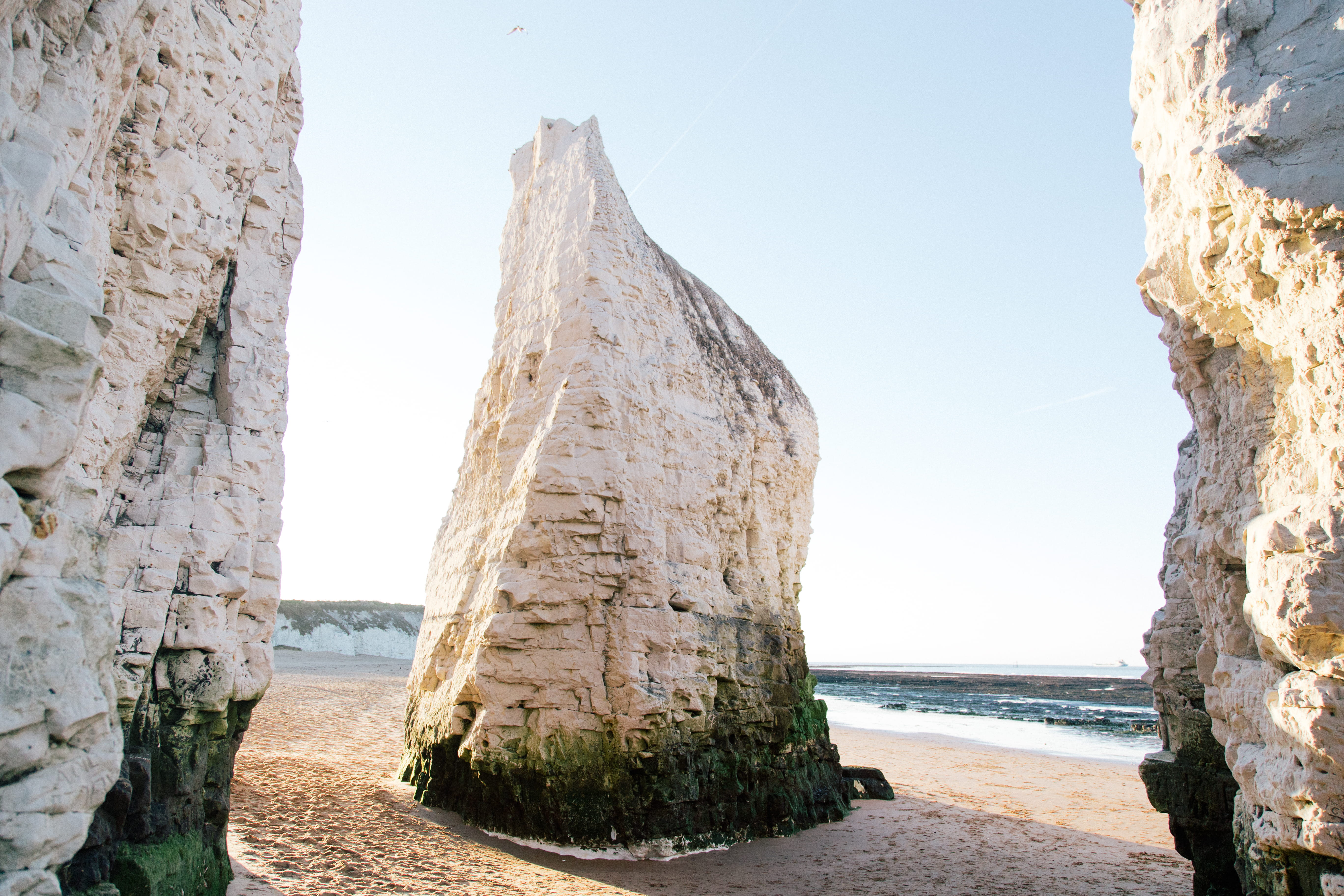 botany road, england, clear sky, scenics - nature, outdoors, no people, white cliffs, white rocks, nature, sunlight, seaside, sea, broadstairs, 5K, plant, HD Wallpaper