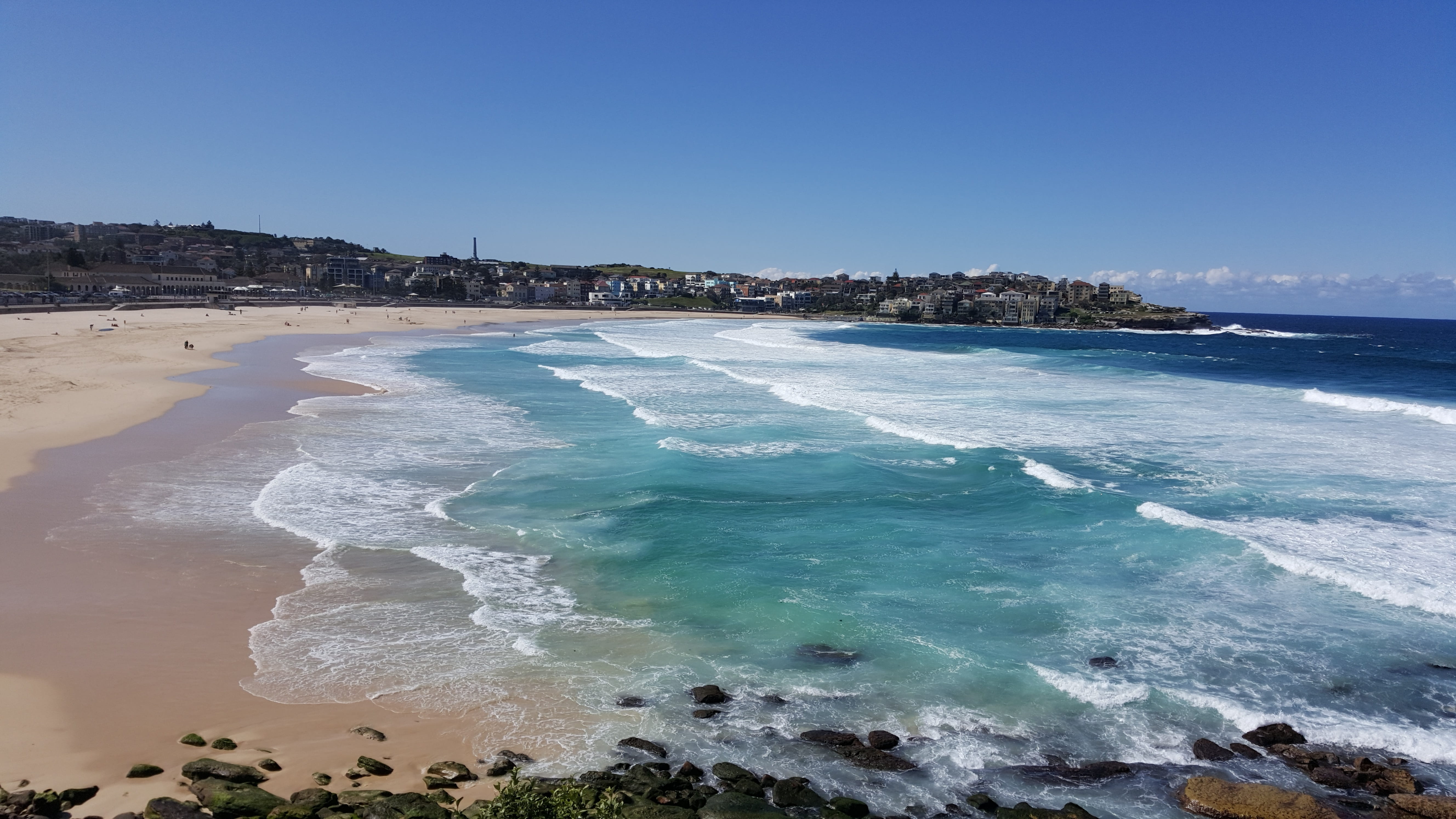 surfing, vacation, coast, sun, people, sydney, bay, 5K, sport, seaside, daytime, beach, sea, coastline, water, blue, sky, seashore, coastal, environment, HD Wallpaper