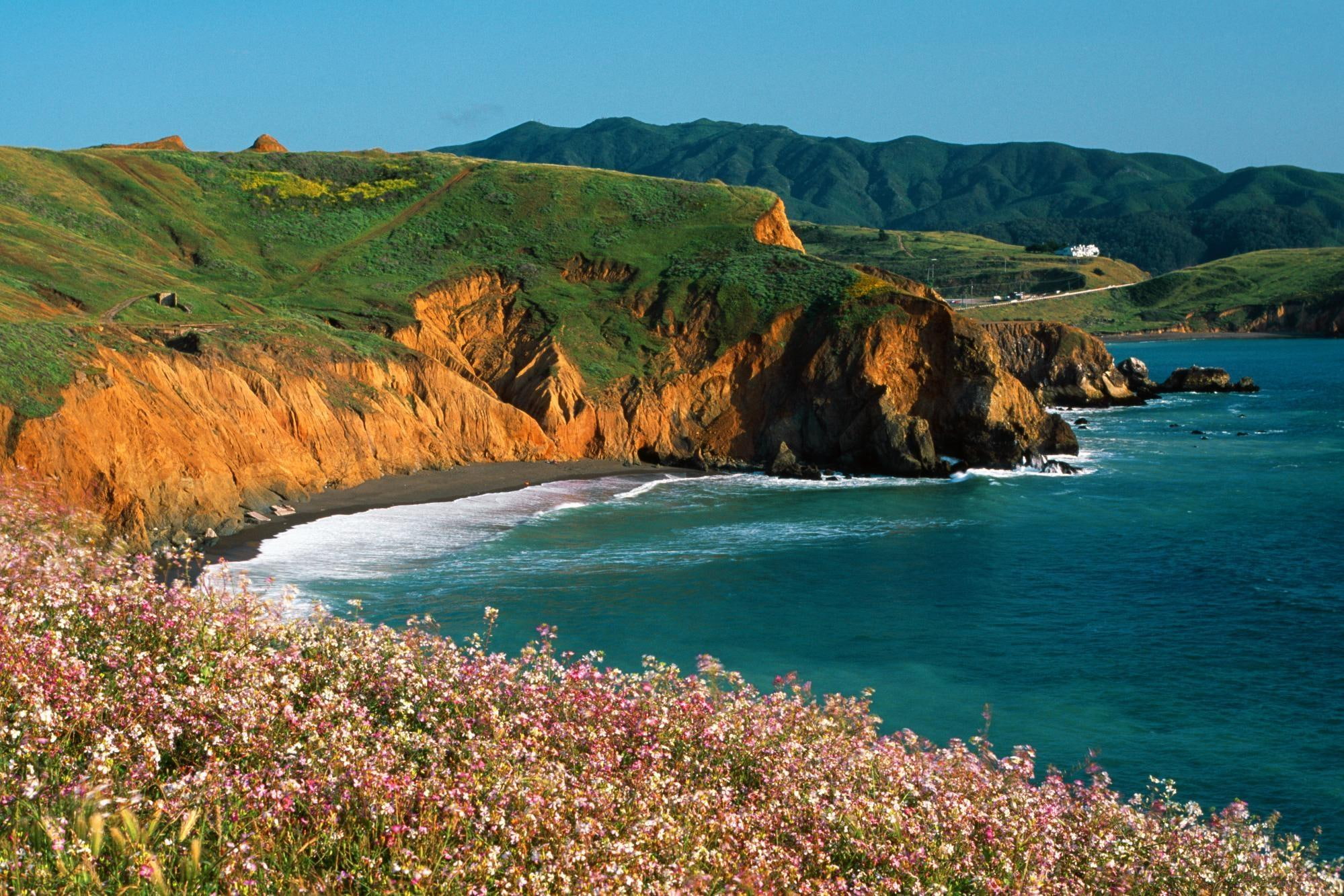 nature, beach, ocean, sunny, mountains, sand, 1080P, trees, view, grass, waves, flowers, forest, seaside, rocks, HD Wallpaper