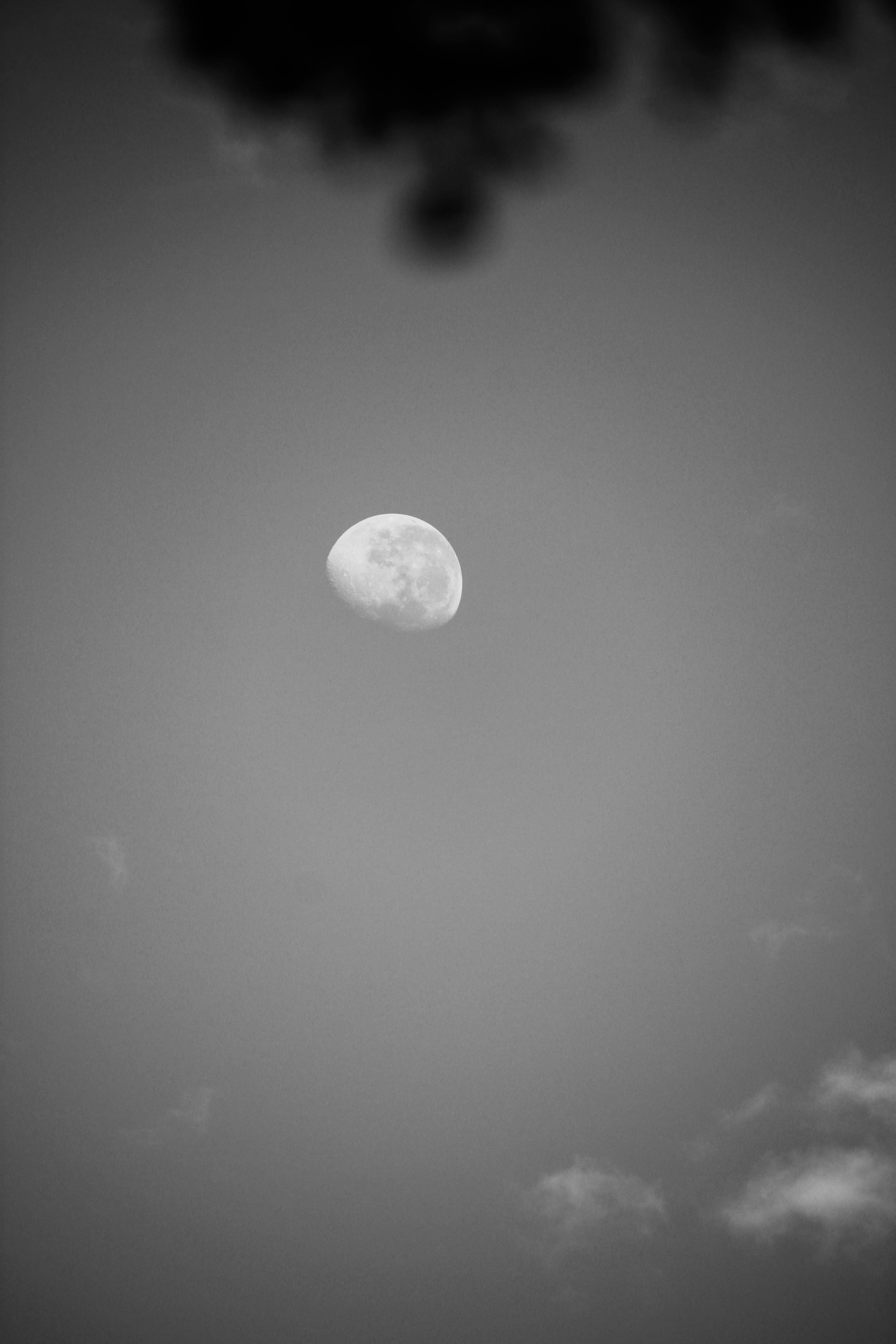 low angle view, full moon, cloud - sky, clair de lune, 5K, branch, geometric shape, silhouette, planetary moon, leaf, space and astronomy, star, nature, Phone HD Wallpaper