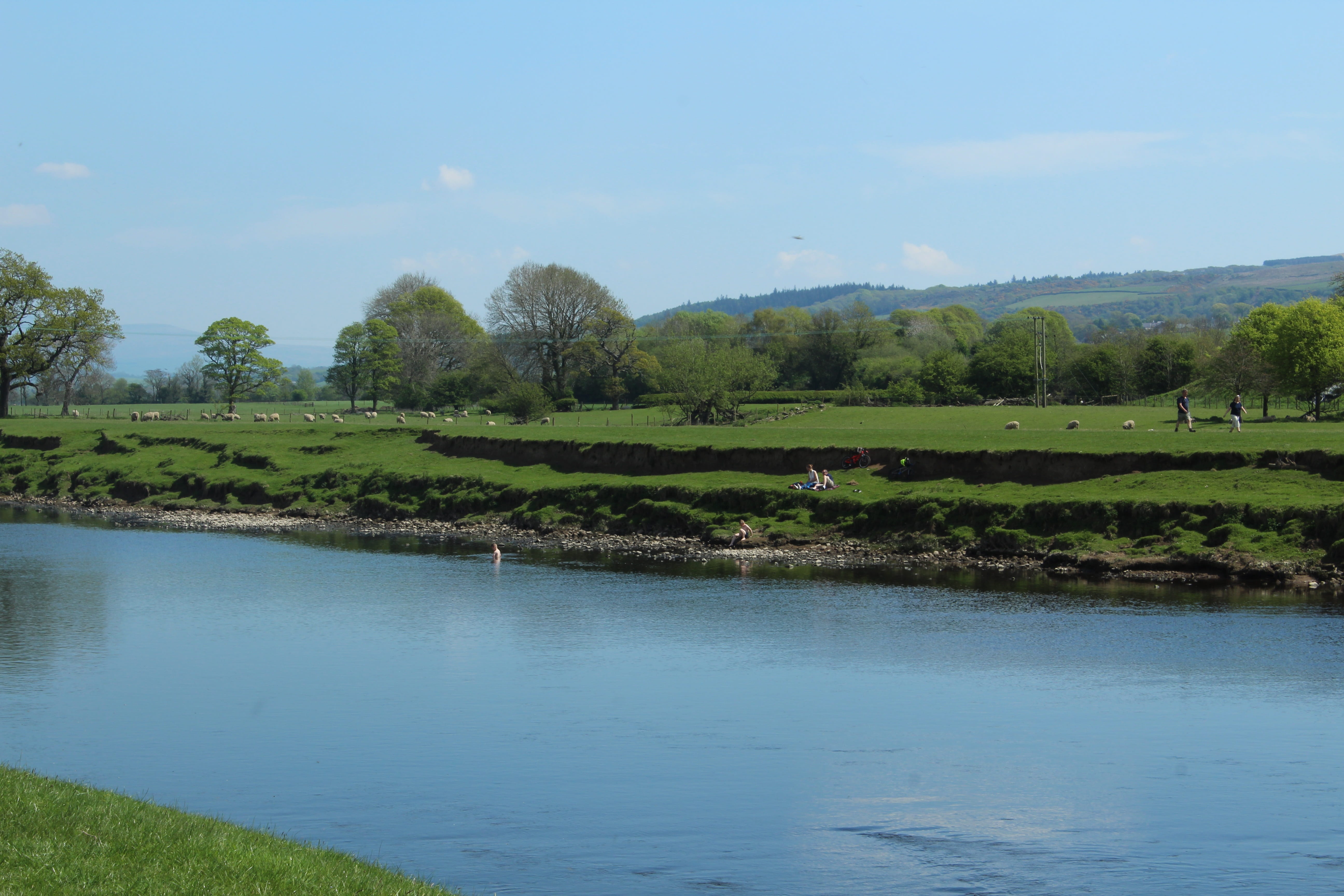 season, travel, grass, water, landscape, lune, scene, country, rural, scenery, outdoors, tree, lancashire, growth, summer, green, tranquil scene, blue, HD Wallpaper