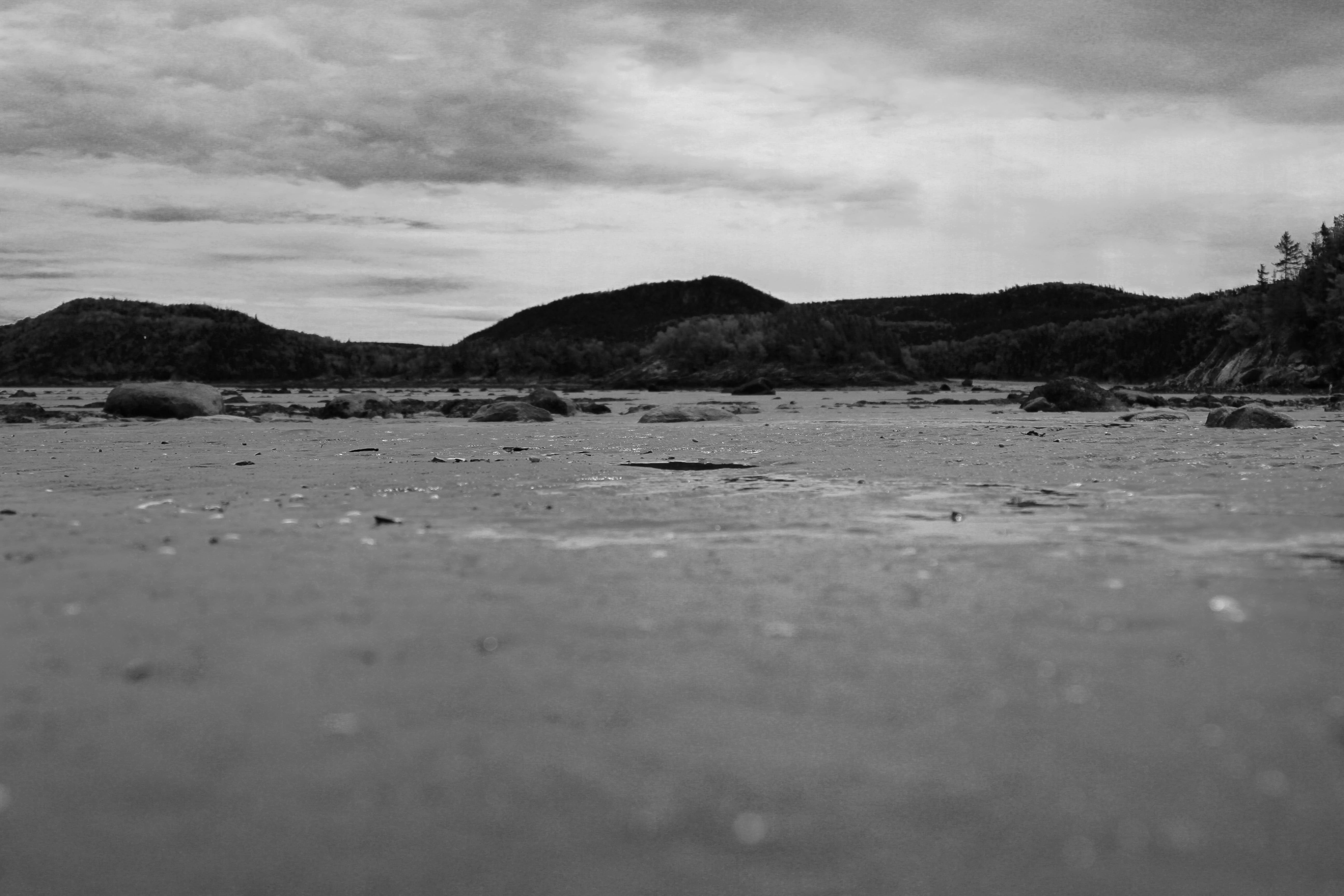 tranquility, scenics - nature, black and white, outdoors, nature, day, beach, forest, water, beauty in nature, canada, quebec, bic, cloud - sky, sky, land, HD Wallpaper