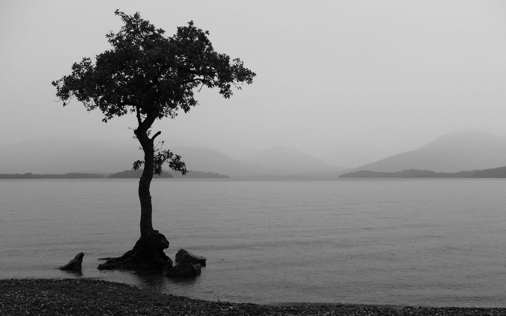 mist, trees, outdoors, beauty In Nature, no People, lake, mountains, mountain, plant, blue, non-urban scene, clear sky, tree, tall, land, island, water, HD Wallpaper