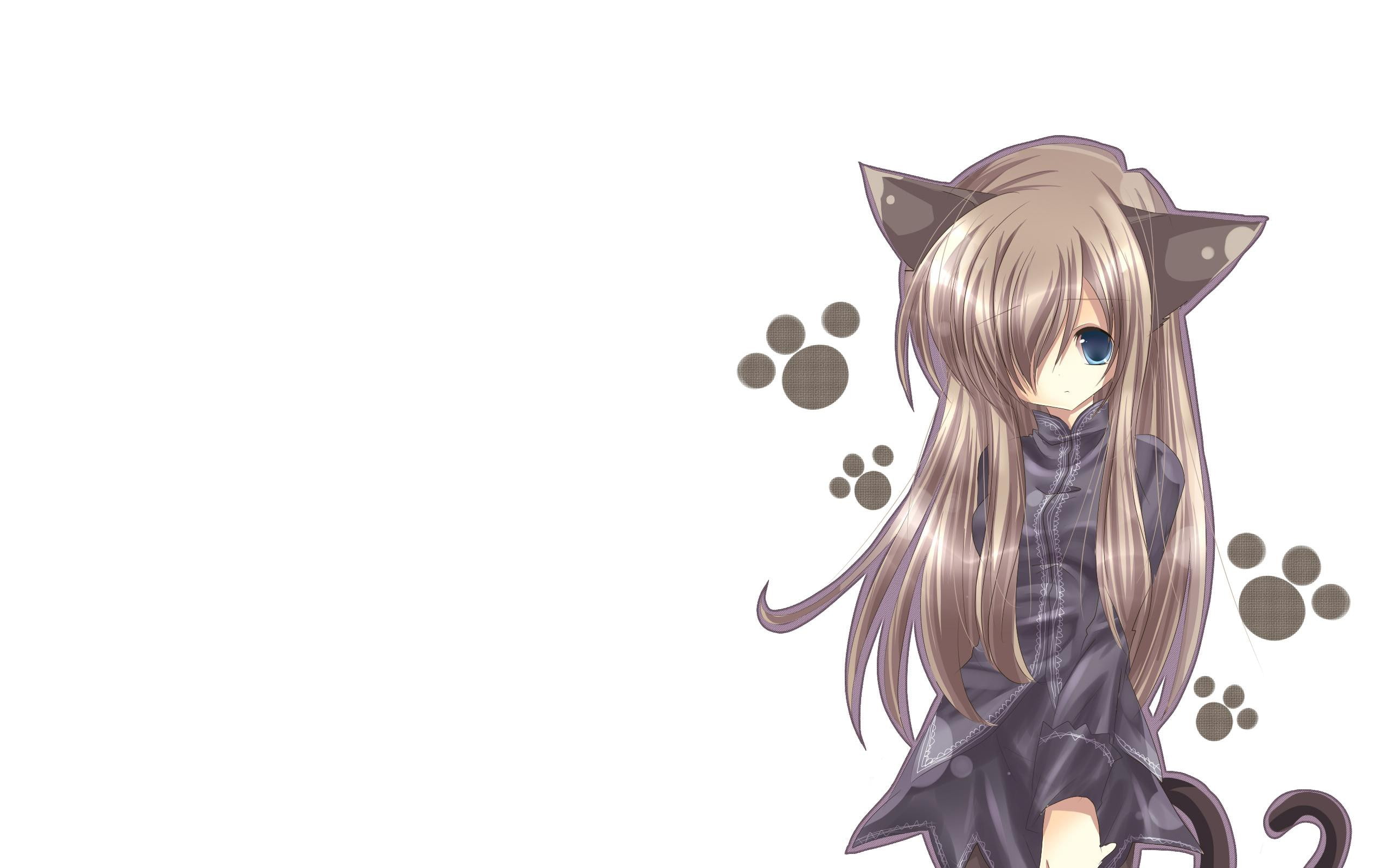 nekomimi, animal ears, shy, 2K, manga, anime girls, original characters, HD Wallpaper