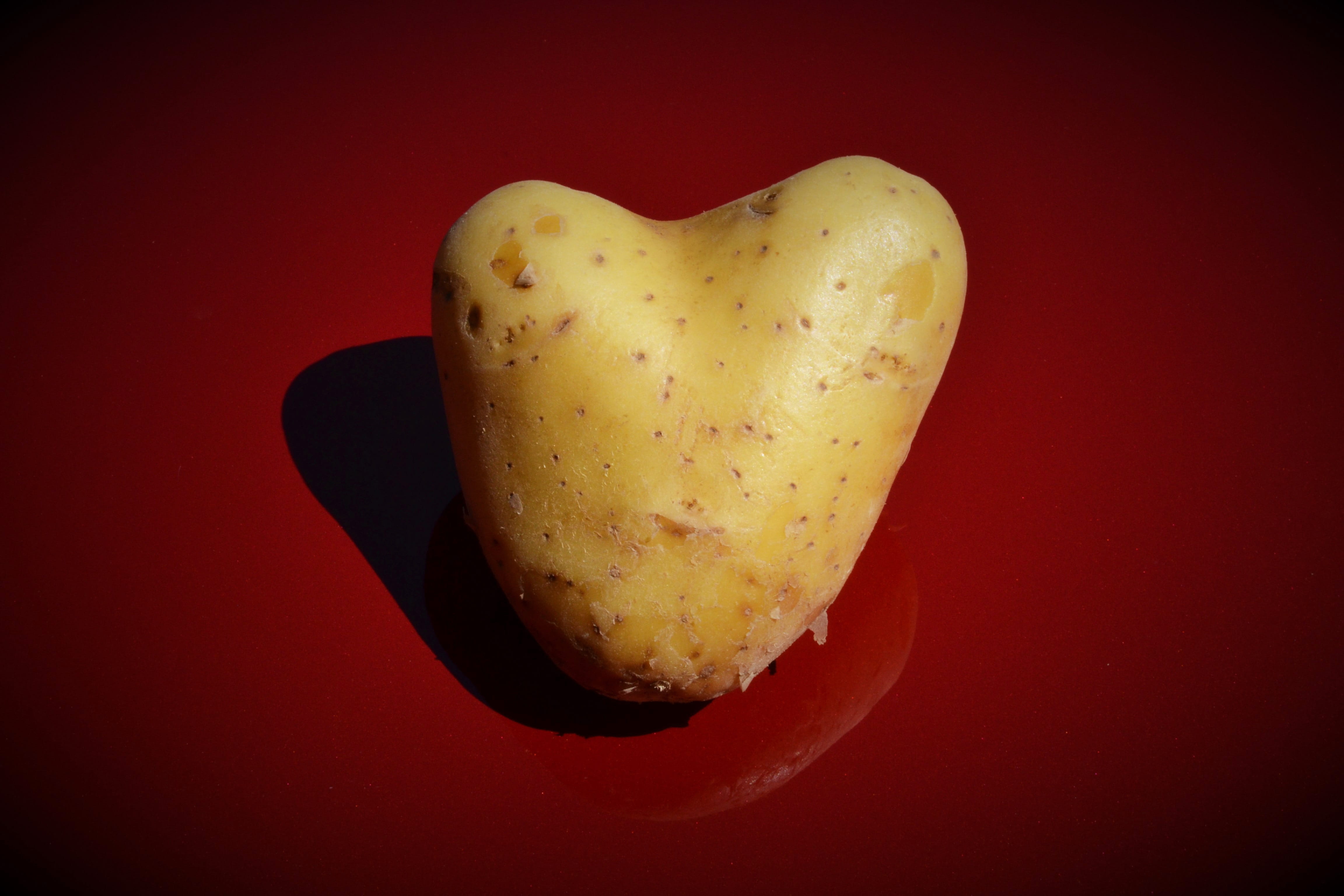 studio shot, I Like You, diet, emotion, connected, positive emotion, wellbeing, healthy eating, Heart, feelings, valentines day, raw, harvest, snack, red background, HD Wallpaper